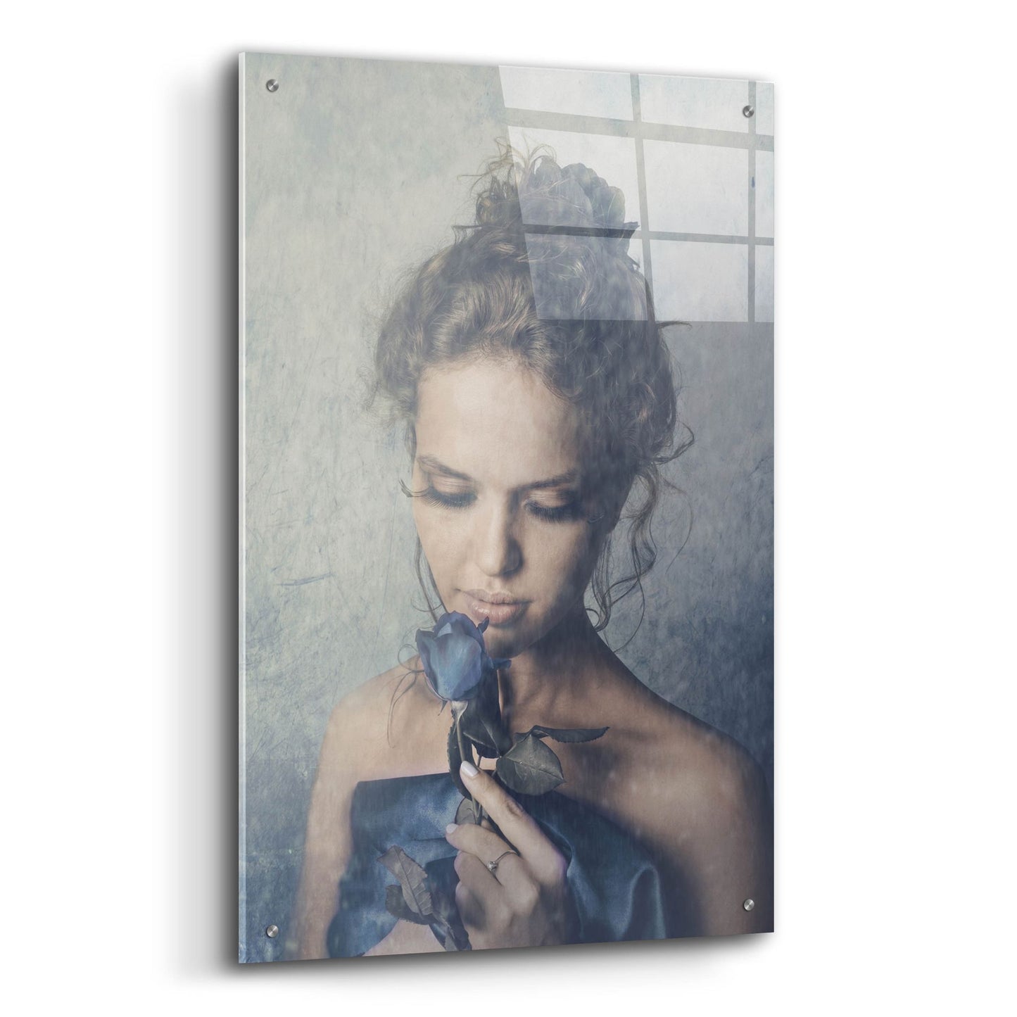 Epic Art 'Dark Rose' by Photoinc Studio, Acrylic Glass Wall Art,24x36