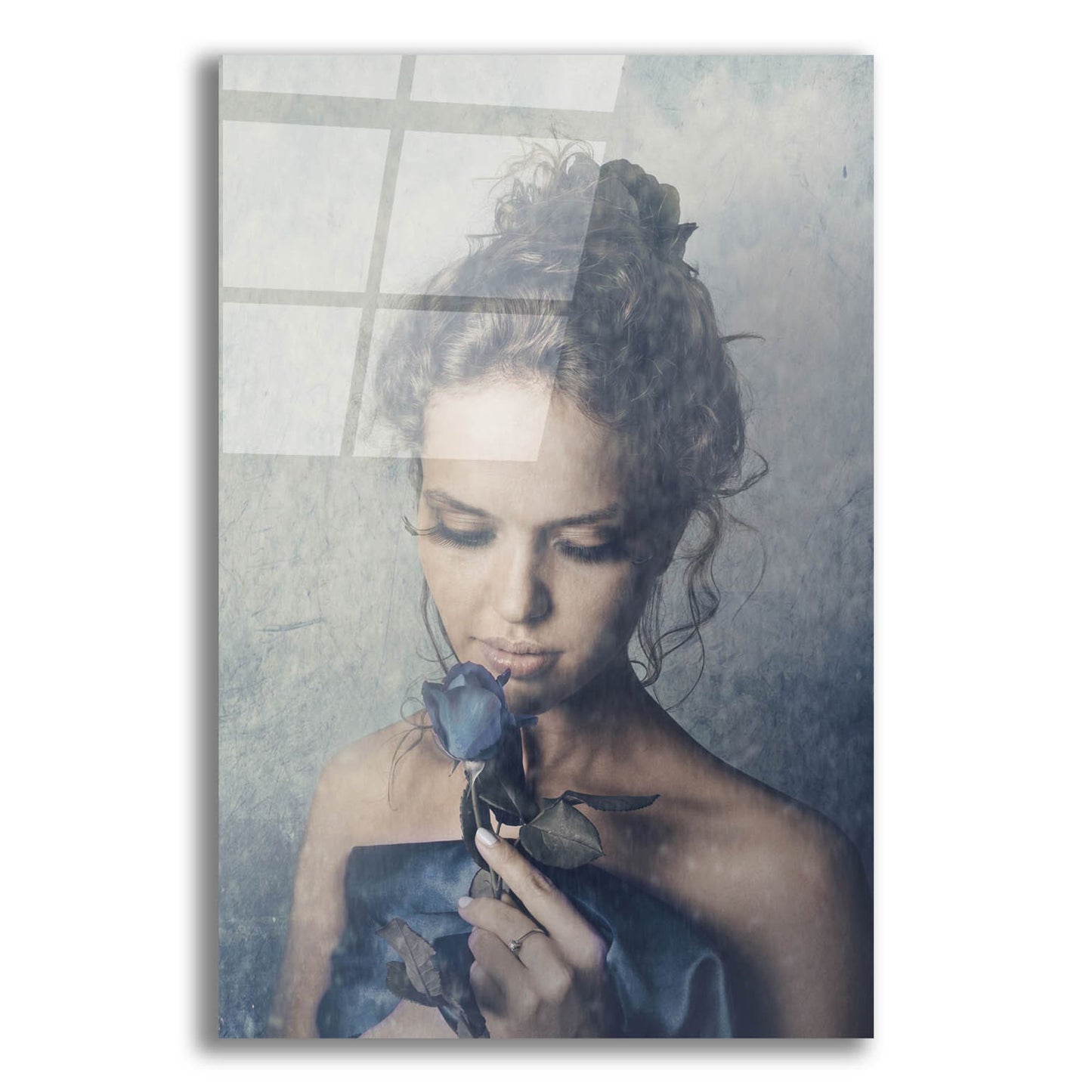Epic Art 'Dark Rose' by Photoinc Studio, Acrylic Glass Wall Art