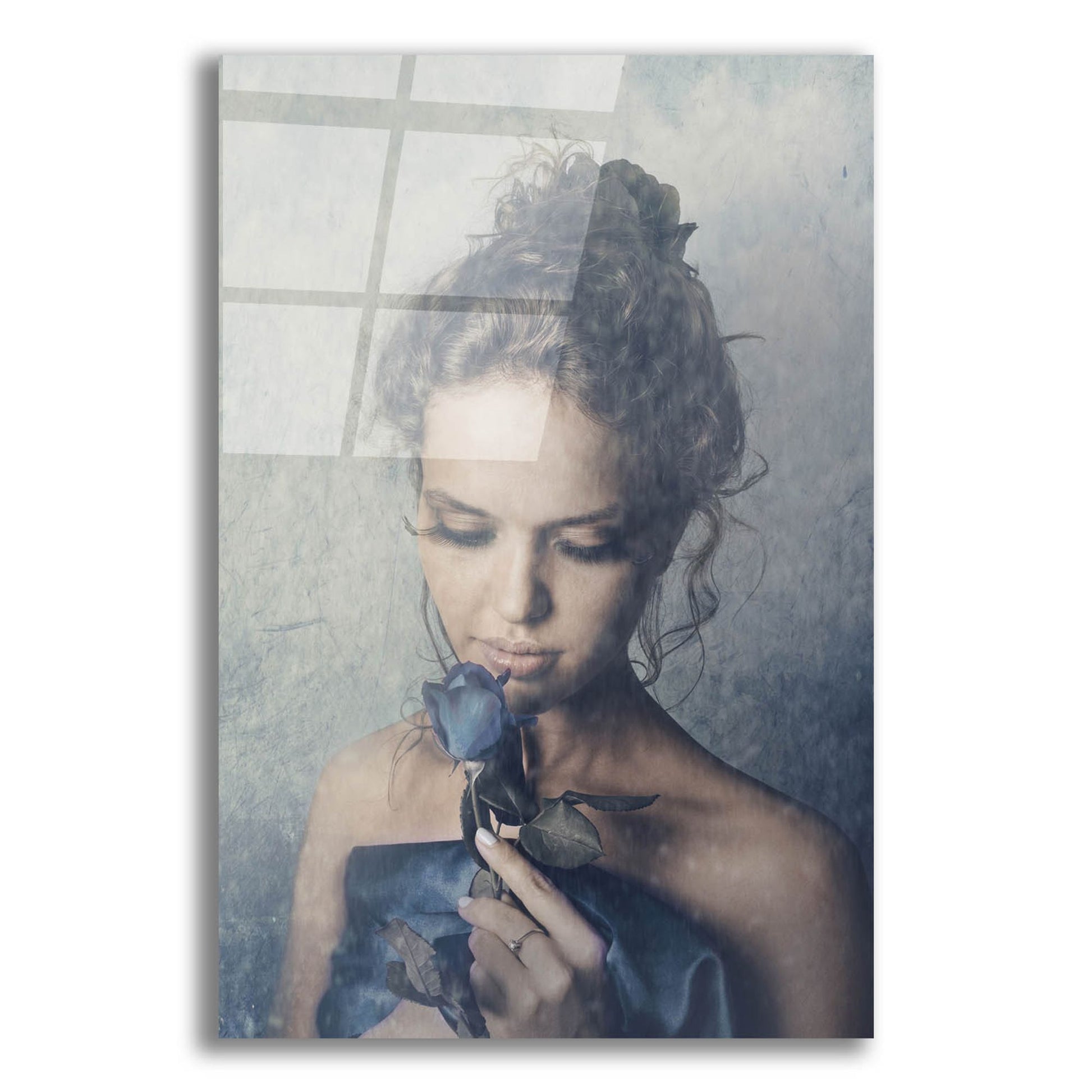 Epic Art 'Dark Rose' by Photoinc Studio, Acrylic Glass Wall Art
