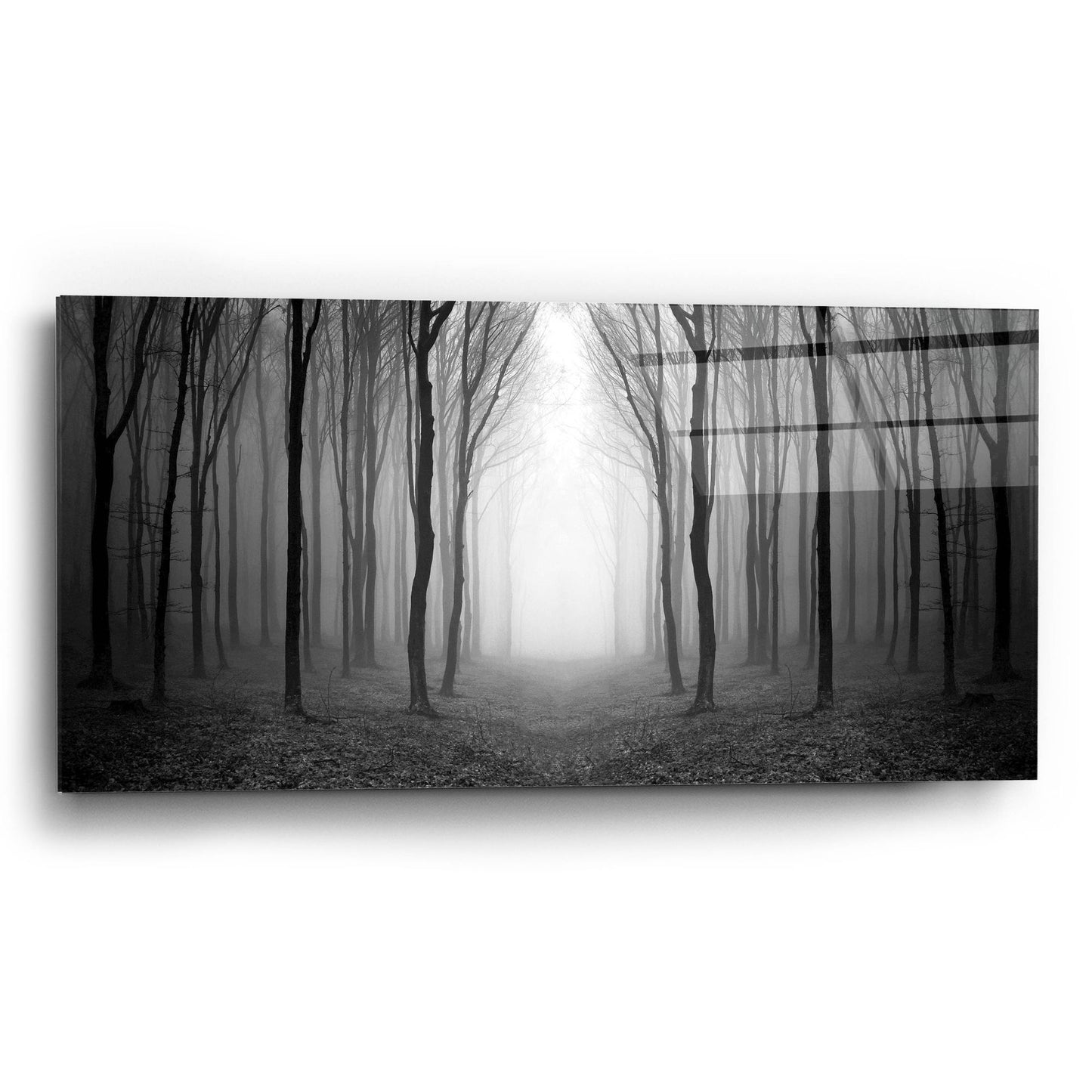 Epic Art 'Dark Woods' by Photoinc Studio, Acrylic Glass Wall Art,24x12