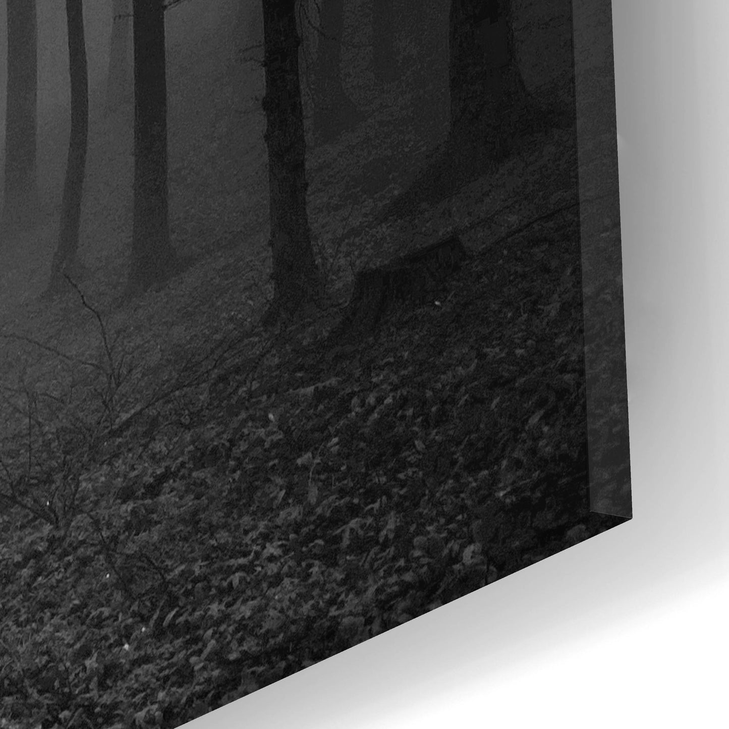 Epic Art 'Dark Woods' by Photoinc Studio, Acrylic Glass Wall Art,24x12