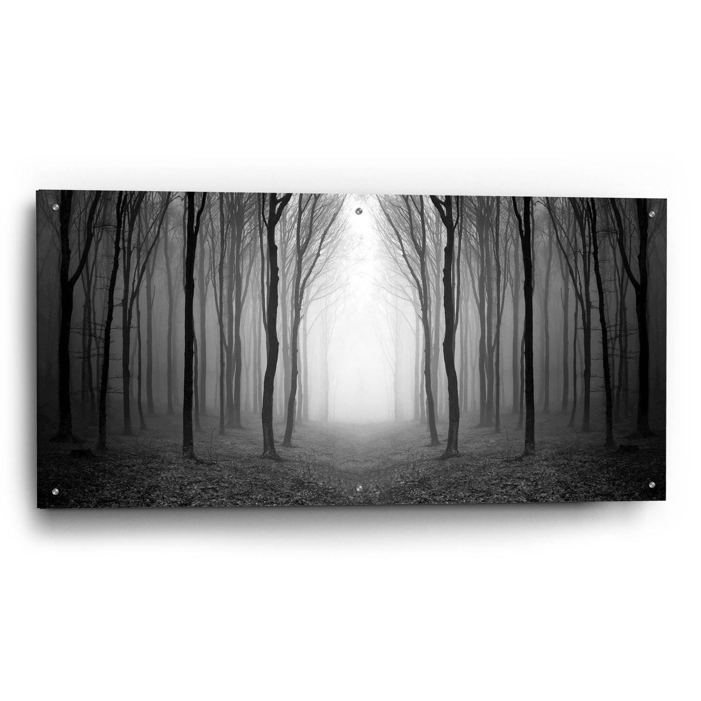 Epic Art 'Dark Woods' by Photoinc Studio, Acrylic Glass Wall Art,48x24