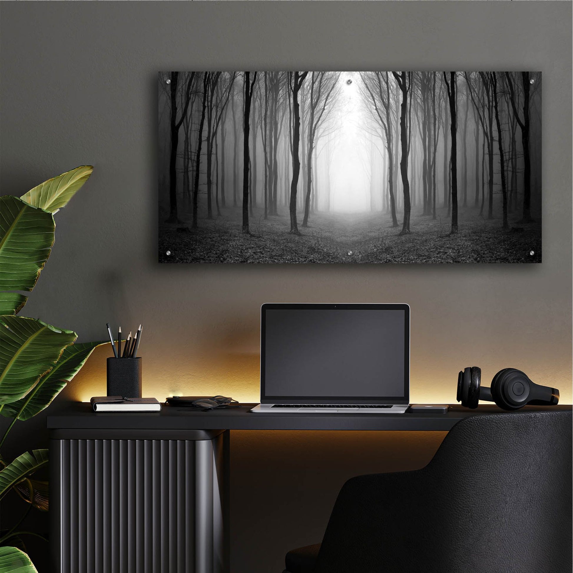 Epic Art 'Dark Woods' by Photoinc Studio, Acrylic Glass Wall Art,48x24