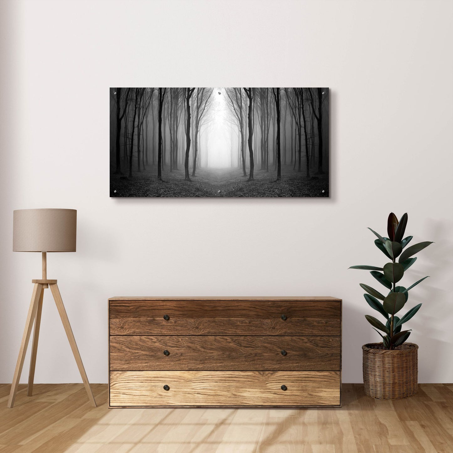 Epic Art 'Dark Woods' by Photoinc Studio, Acrylic Glass Wall Art,48x24