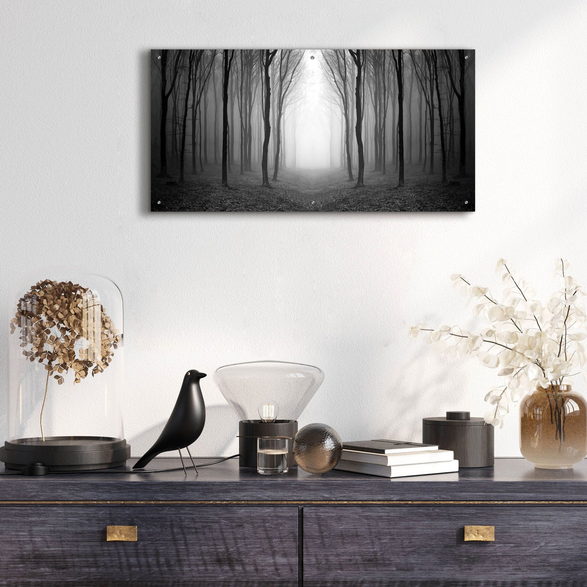 Epic Art 'Dark Woods' by Photoinc Studio, Acrylic Glass Wall Art,48x24