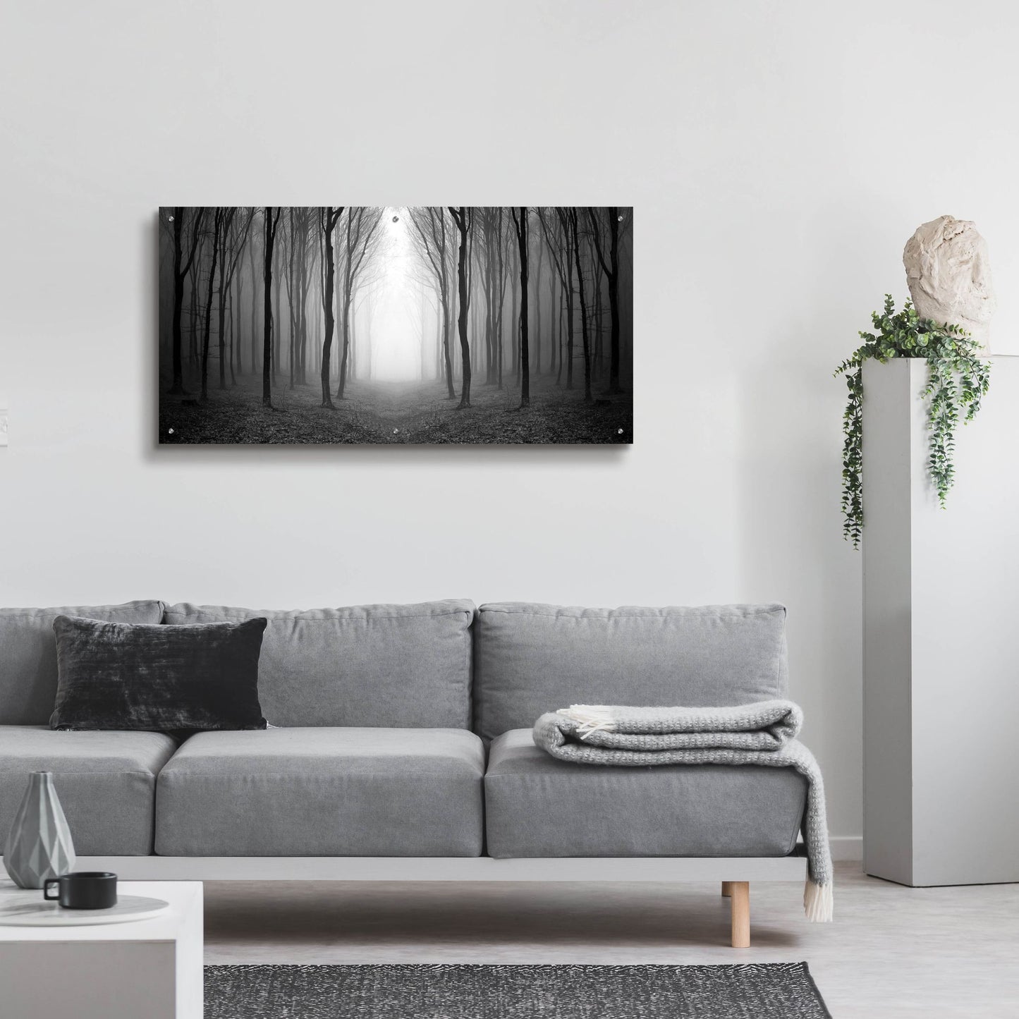 Epic Art 'Dark Woods' by Photoinc Studio, Acrylic Glass Wall Art,48x24