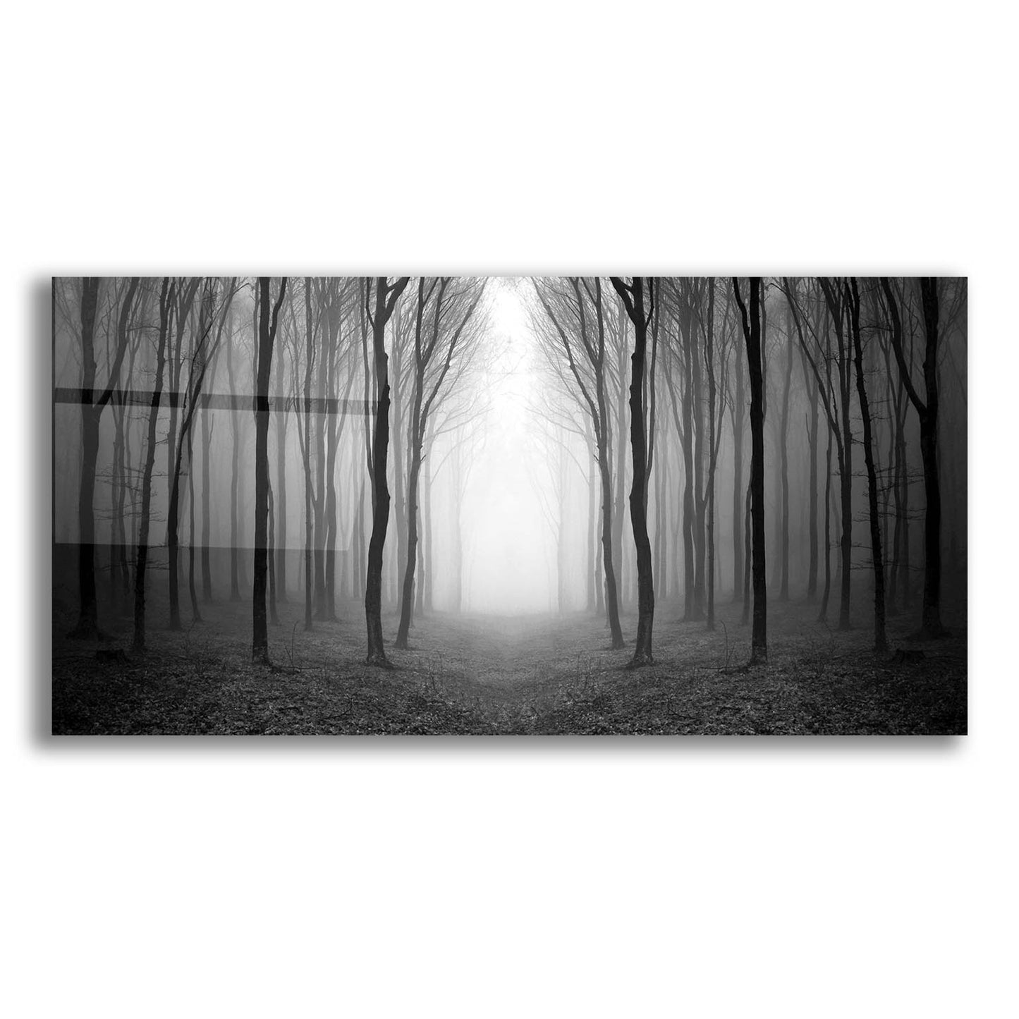 Epic Art 'Dark Woods' by Photoinc Studio, Acrylic Glass Wall Art