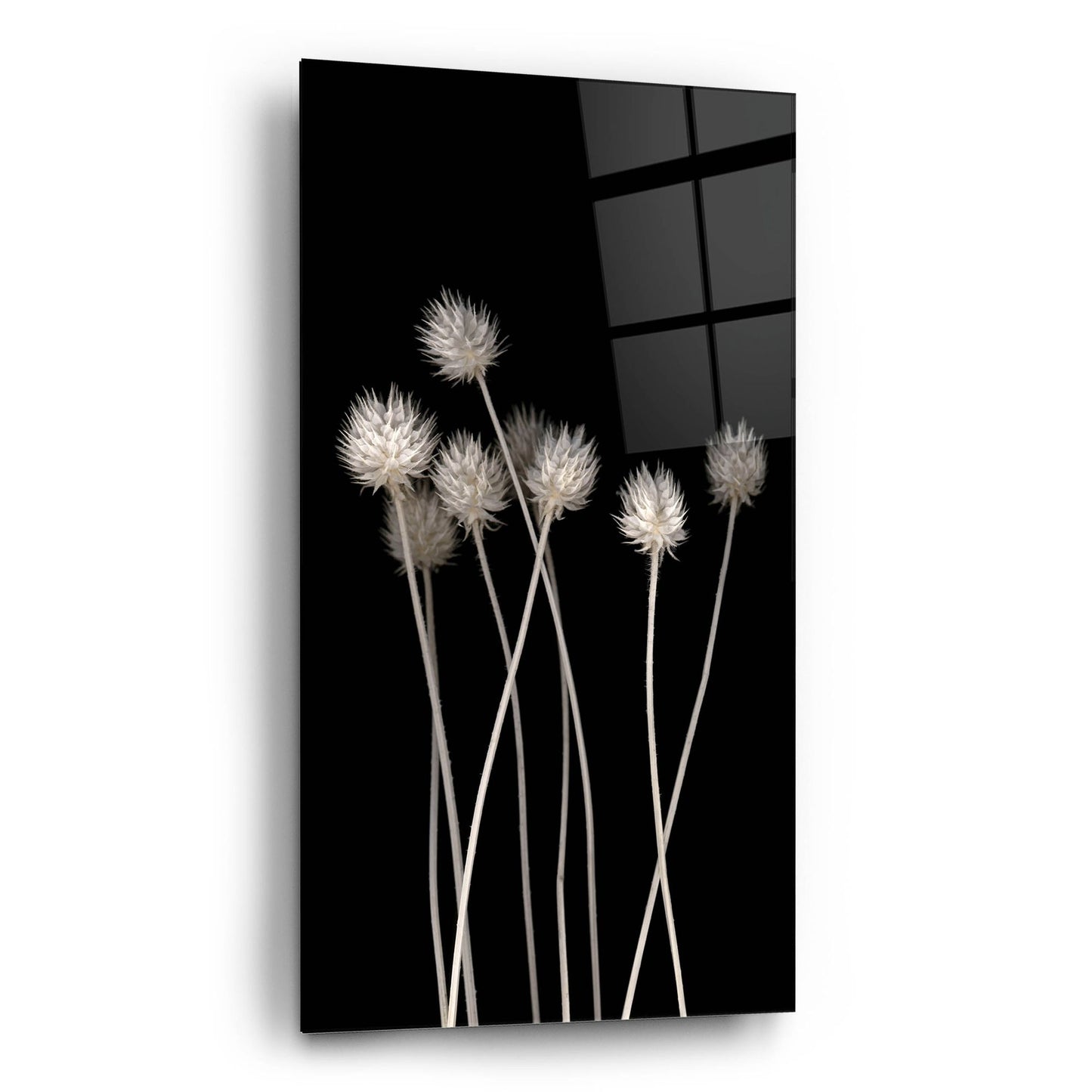 Epic Art 'Dried Up 1' by Photoinc Studio, Acrylic Glass Wall Art,12x24