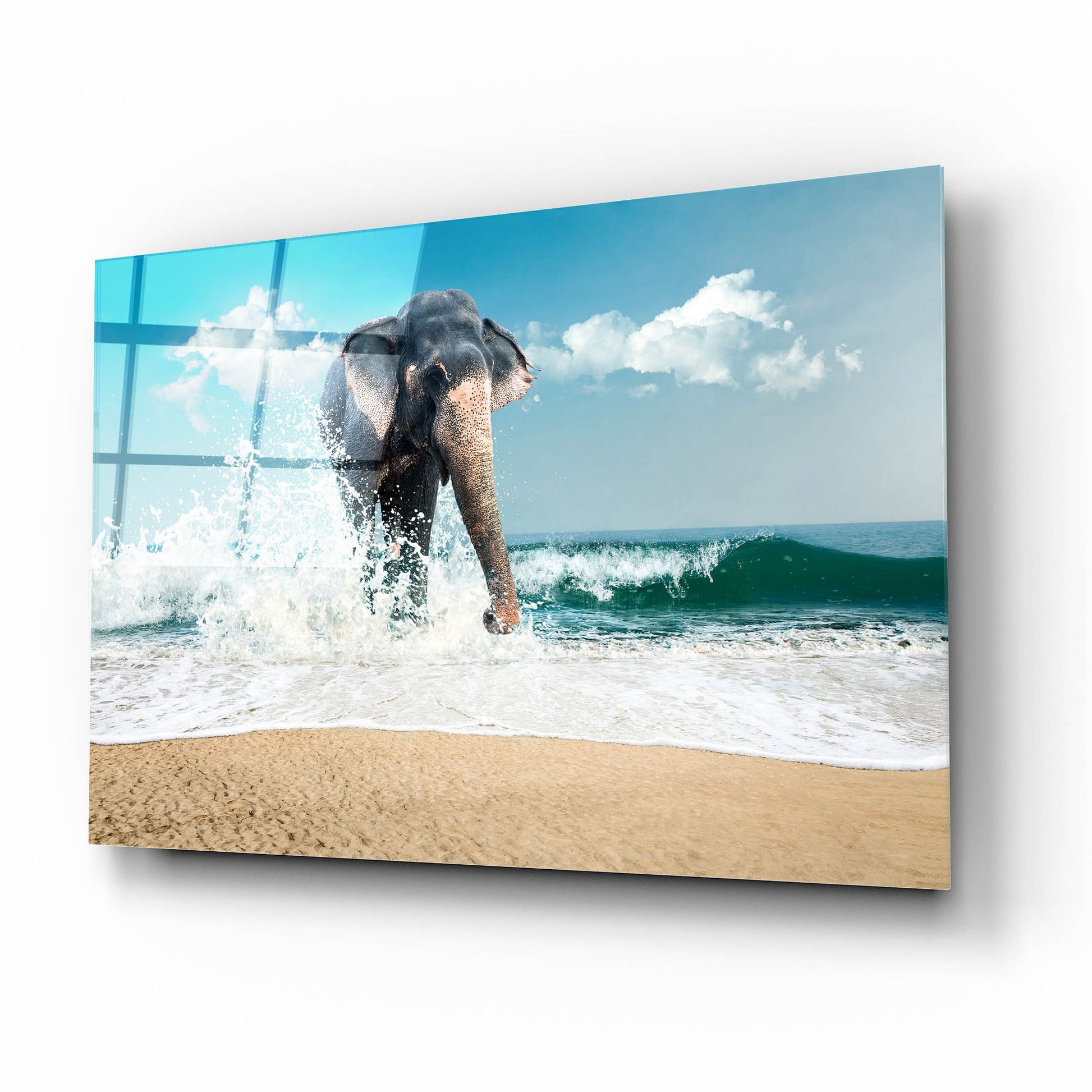 Epic Art 'Elephant' by Photoinc Studio, Acrylic Glass Wall Art,16x12