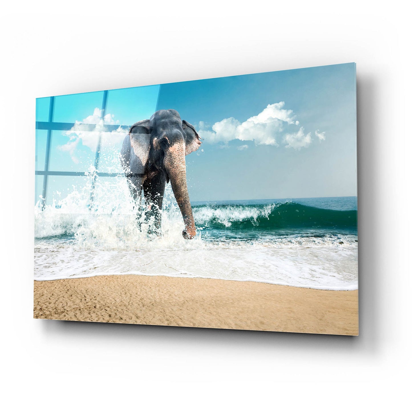 Epic Art 'Elephant' by Photoinc Studio, Acrylic Glass Wall Art,24x16