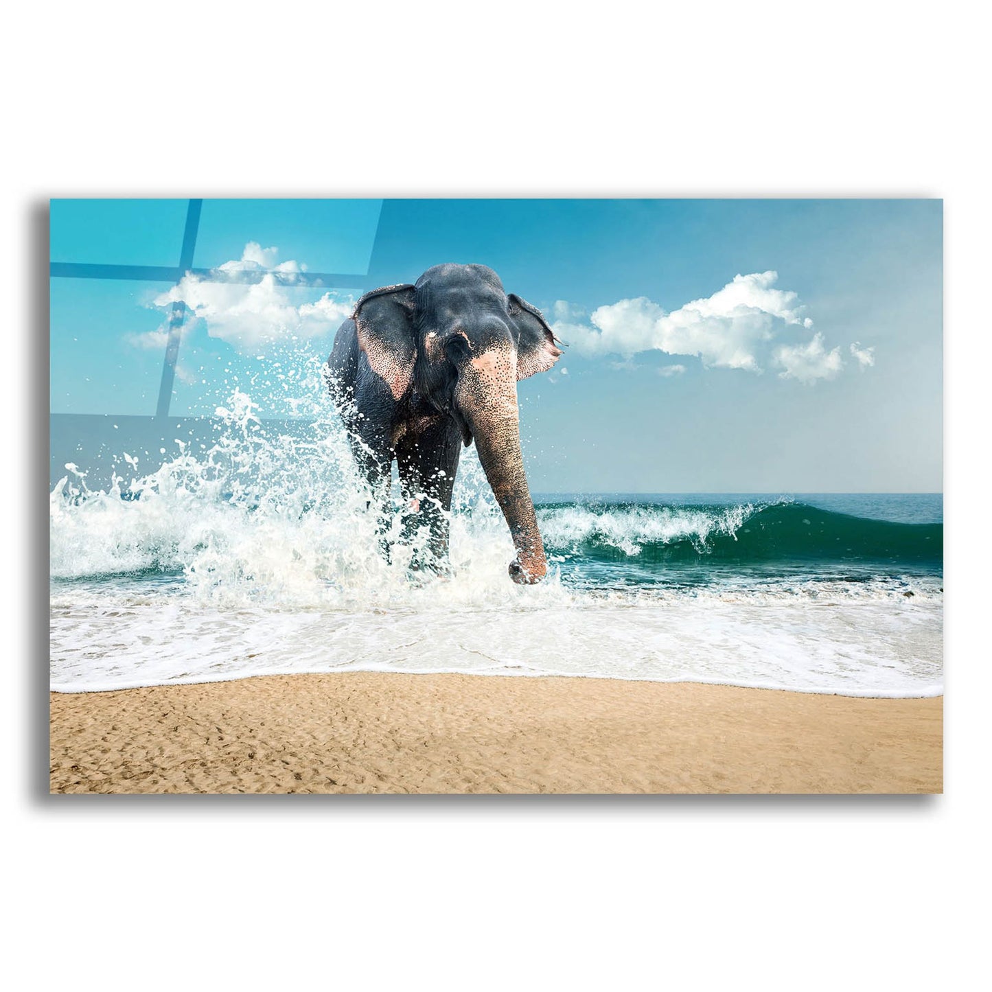 Epic Art 'Elephant' by Photoinc Studio, Acrylic Glass Wall Art,24x16