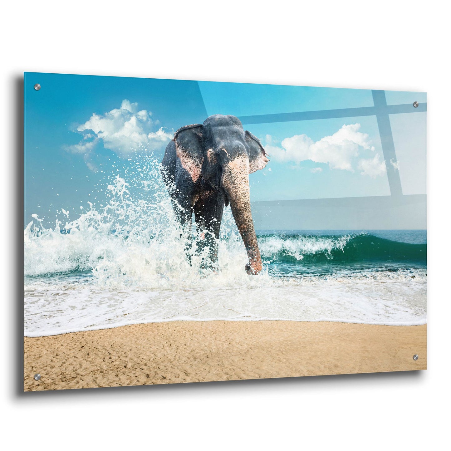 Epic Art 'Elephant' by Photoinc Studio, Acrylic Glass Wall Art,36x24