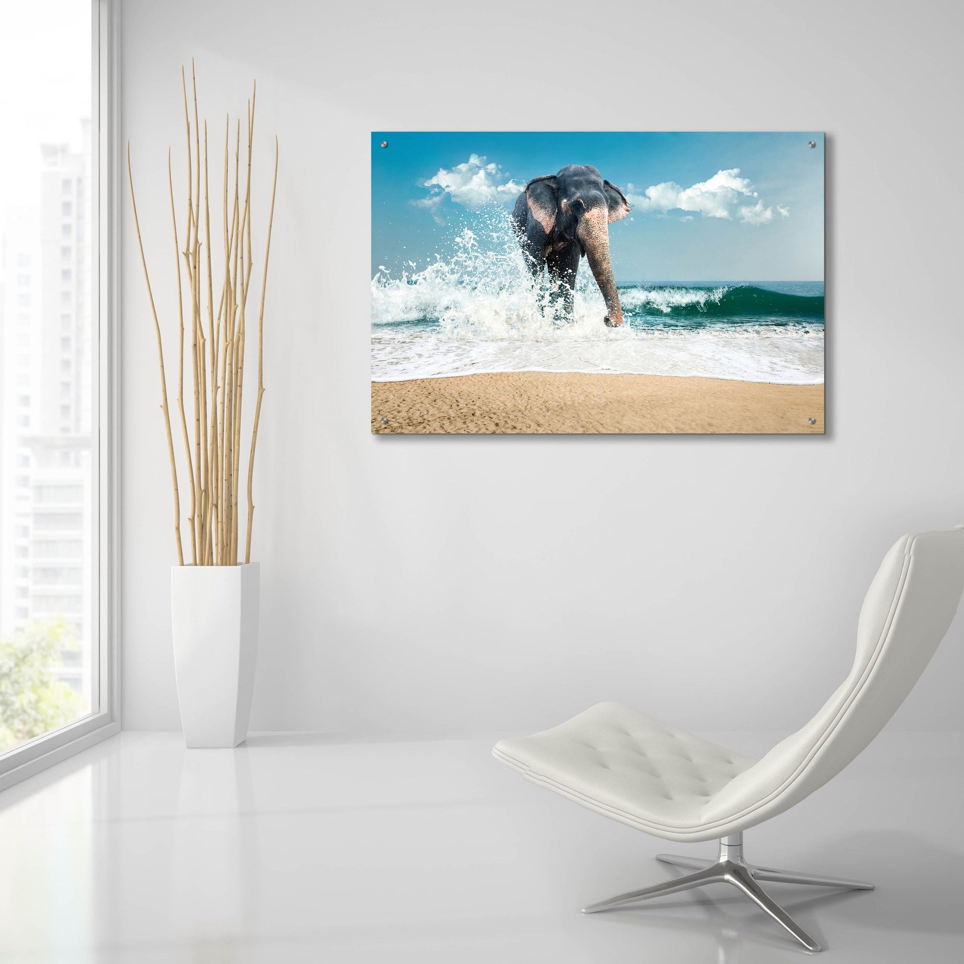 Epic Art 'Elephant' by Photoinc Studio, Acrylic Glass Wall Art,36x24