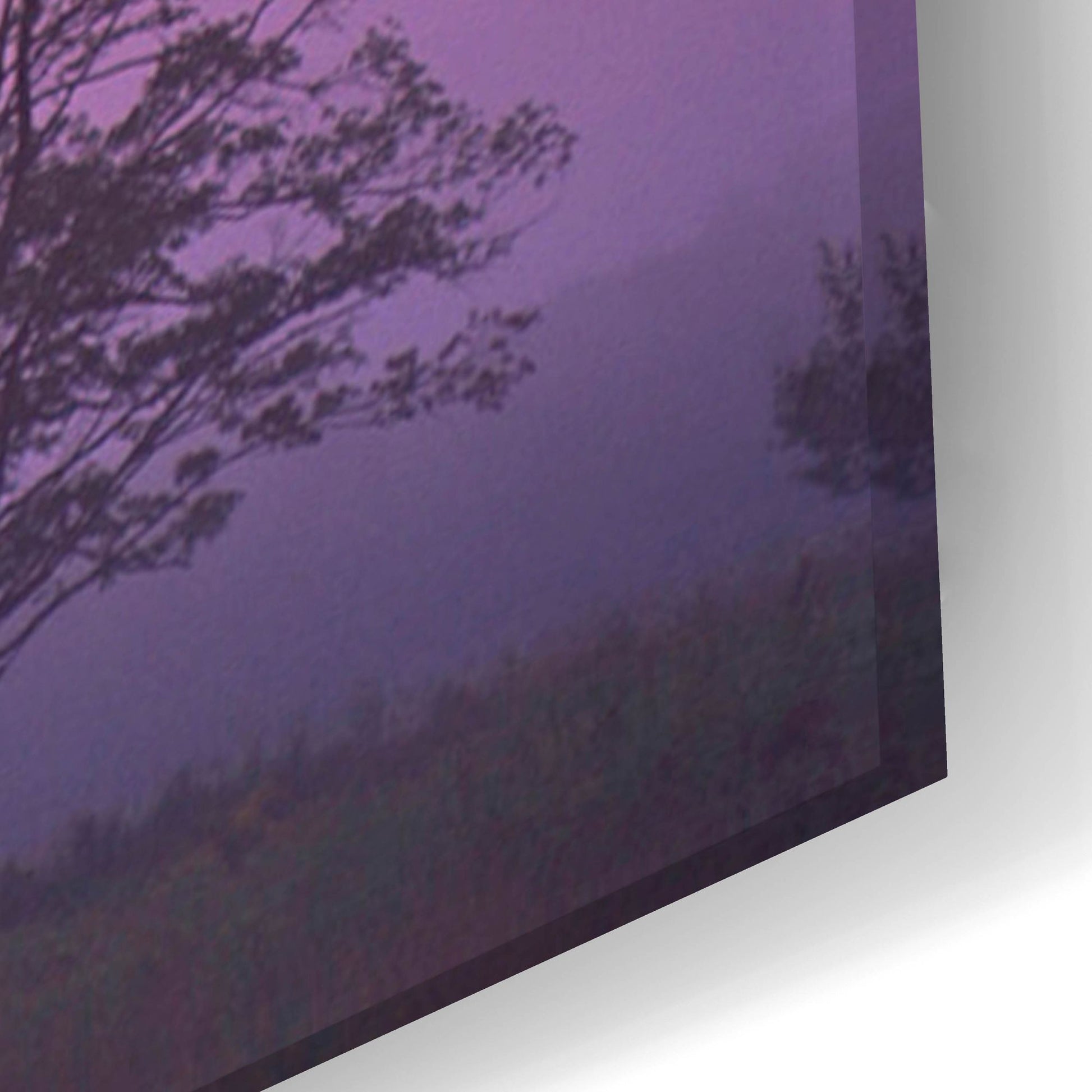 Epic Art 'Evening Fields' by Photoinc Studio, Acrylic Glass Wall Art,24x16