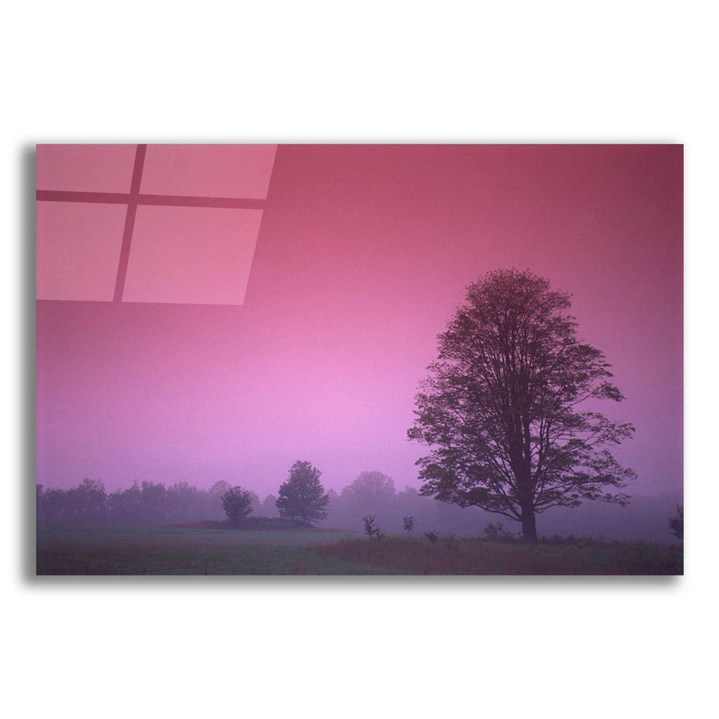 Epic Art 'Evening Fields' by Photoinc Studio, Acrylic Glass Wall Art,24x16