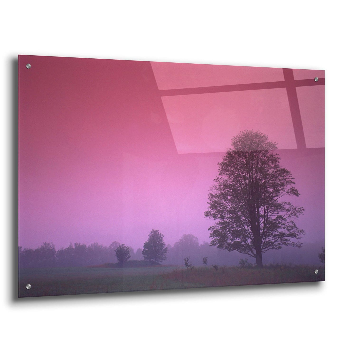 Epic Art 'Evening Fields' by Photoinc Studio, Acrylic Glass Wall Art,36x24