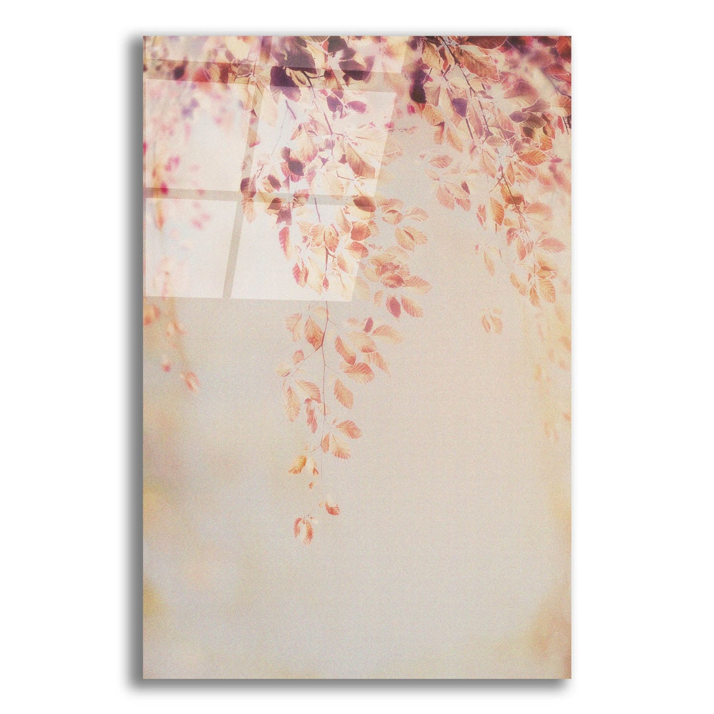 Epic Art 'Fall Ii' by Photoinc Studio, Acrylic Glass Wall Art