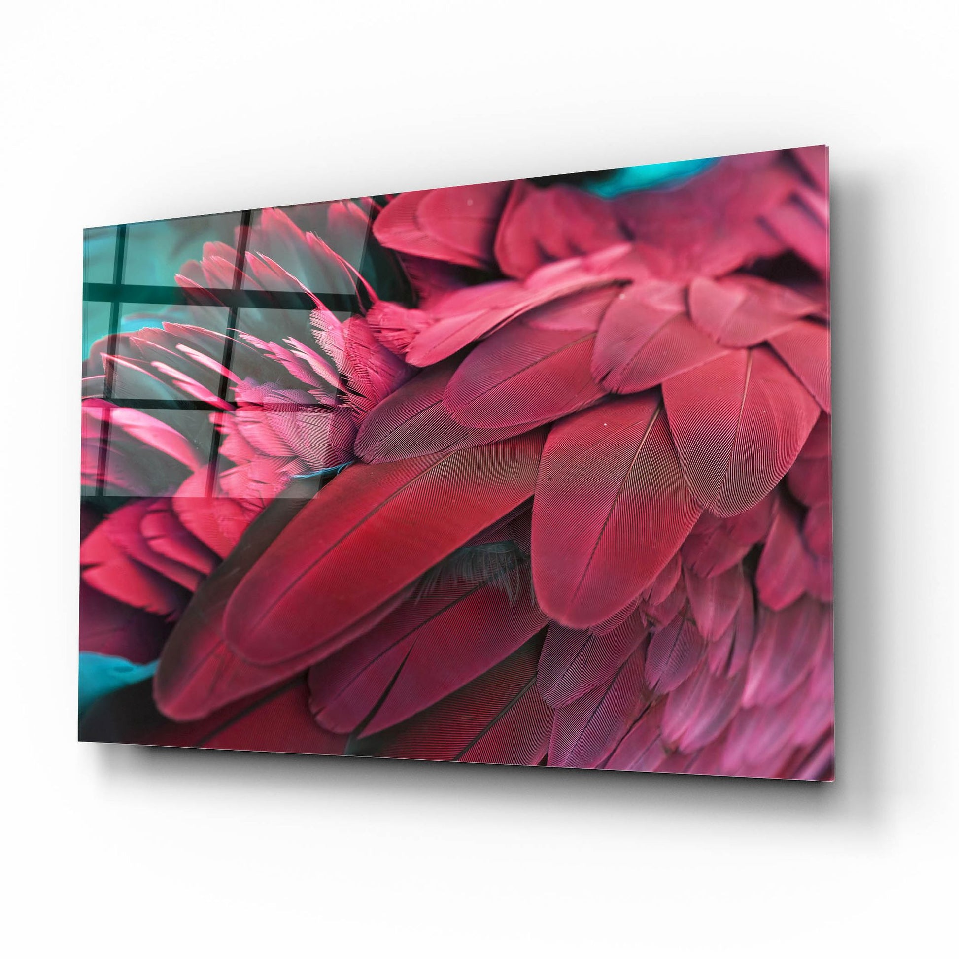 Epic Art 'Feather' by Photoinc Studio, Acrylic Glass Wall Art,16x12