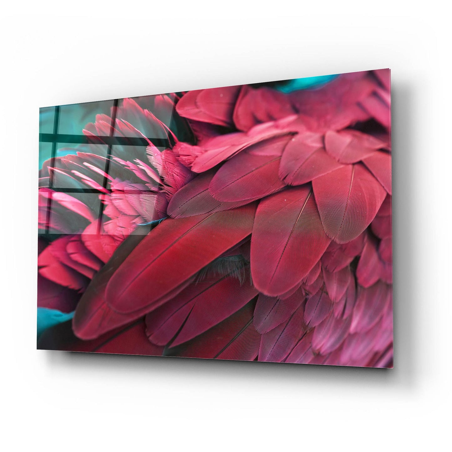 Epic Art 'Feather' by Photoinc Studio, Acrylic Glass Wall Art,24x16