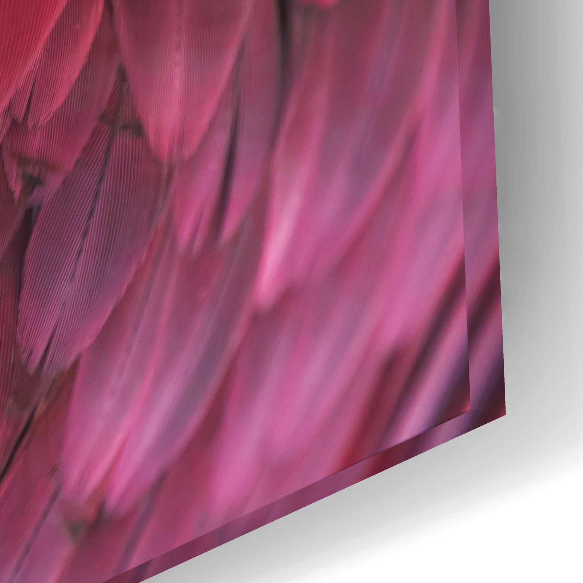 Epic Art 'Feather' by Photoinc Studio, Acrylic Glass Wall Art,24x16