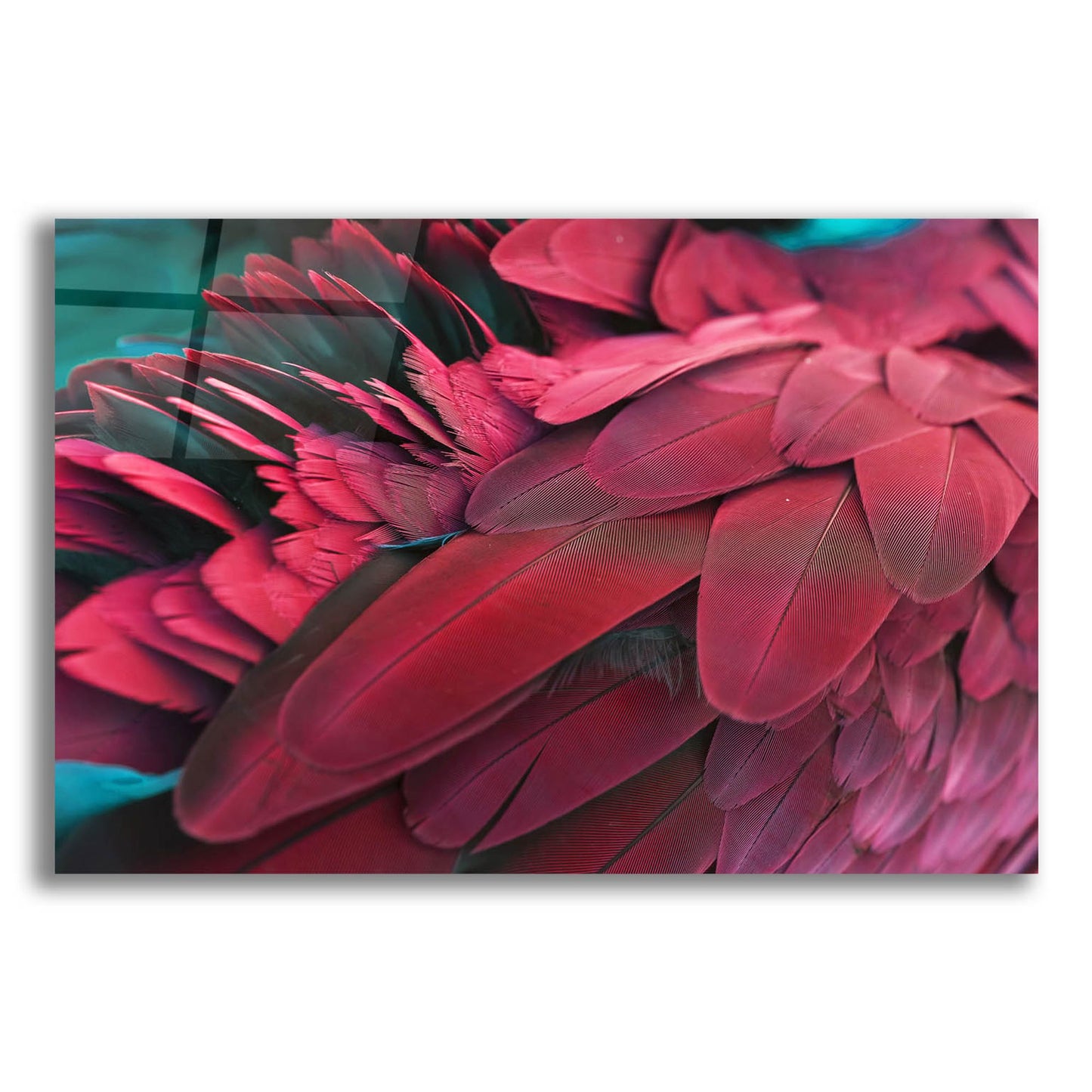 Epic Art 'Feather' by Photoinc Studio, Acrylic Glass Wall Art,24x16