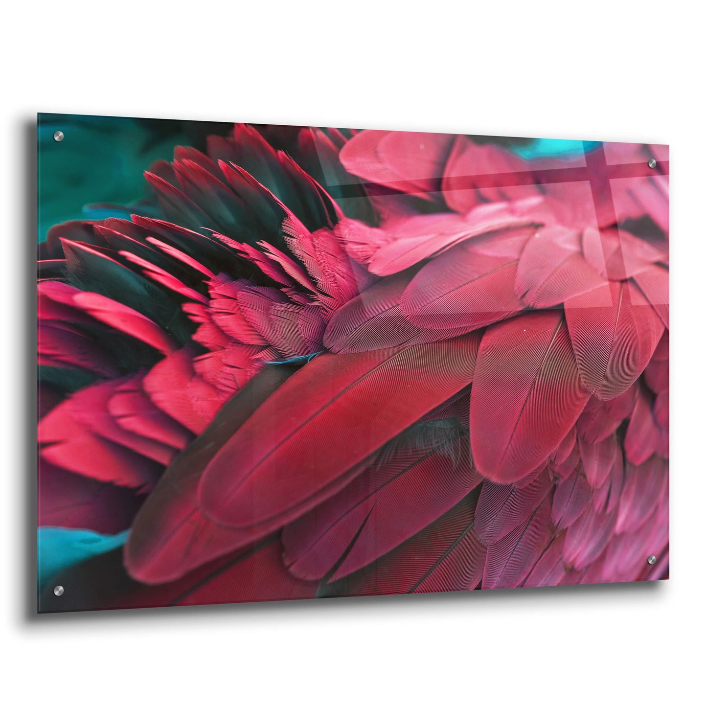 Epic Art 'Feather' by Photoinc Studio, Acrylic Glass Wall Art,36x24