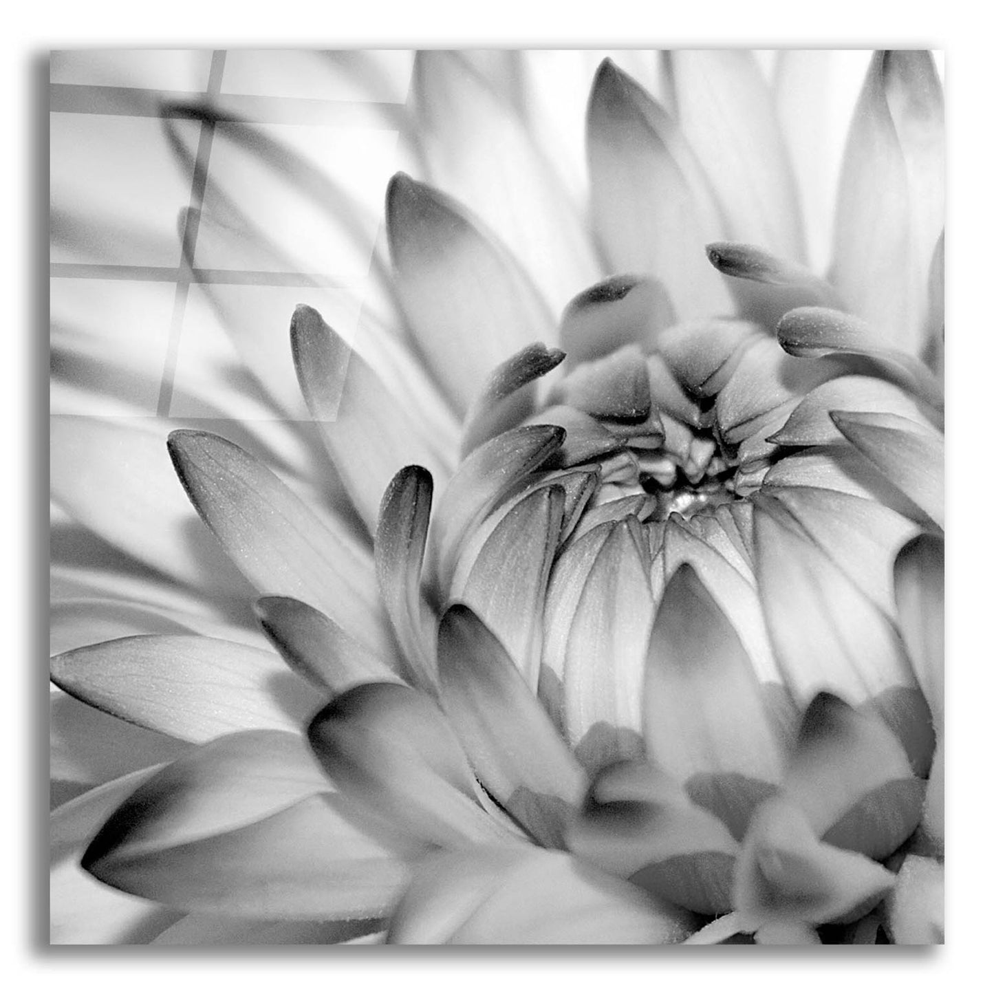 Epic Art 'Fibonacci 2' by Photoinc Studio, Acrylic Glass Wall Art