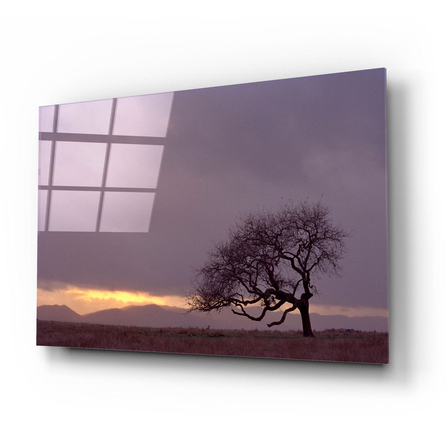 Epic Art 'Field' by Photoinc Studio, Acrylic Glass Wall Art,24x16