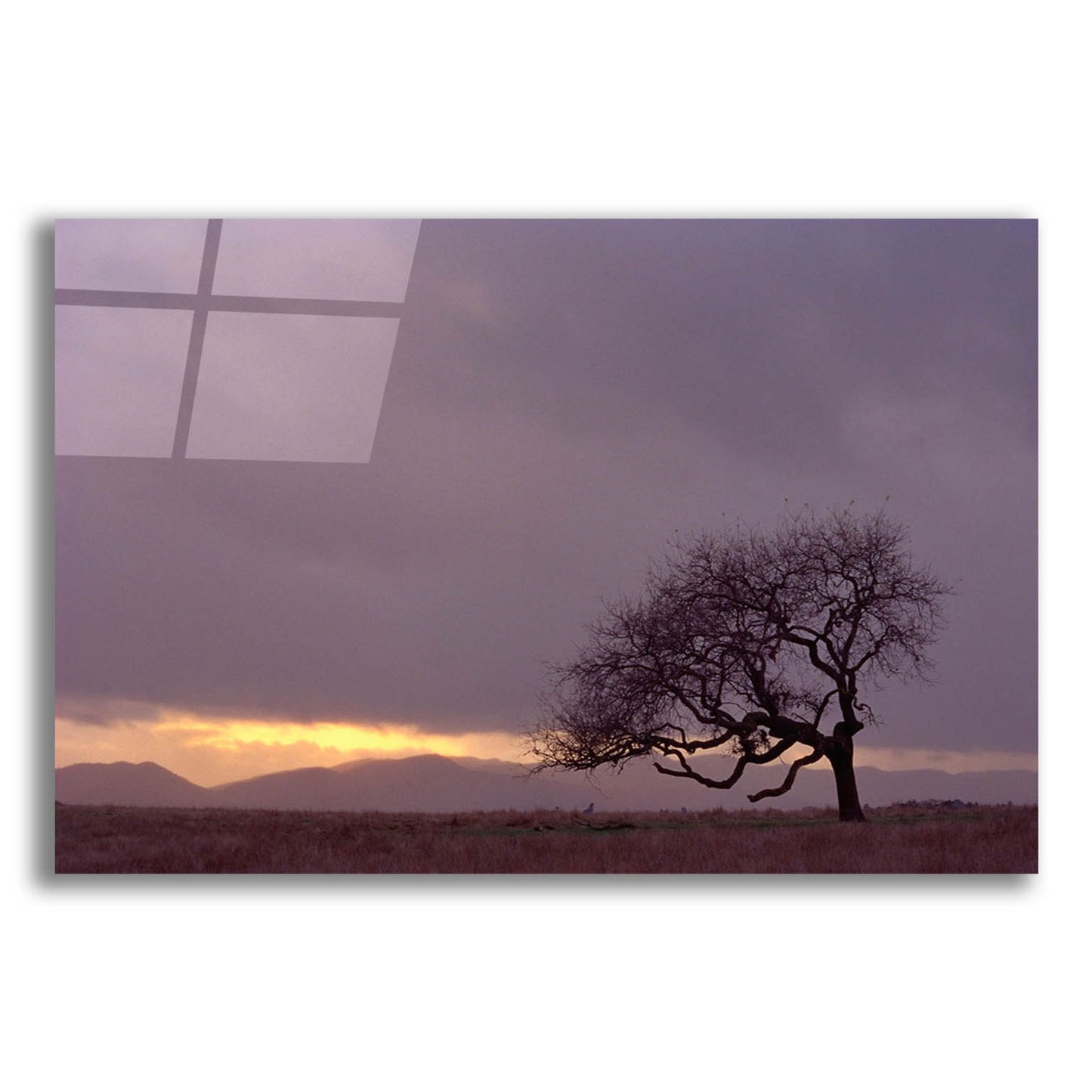 Epic Art 'Field' by Photoinc Studio, Acrylic Glass Wall Art,24x16