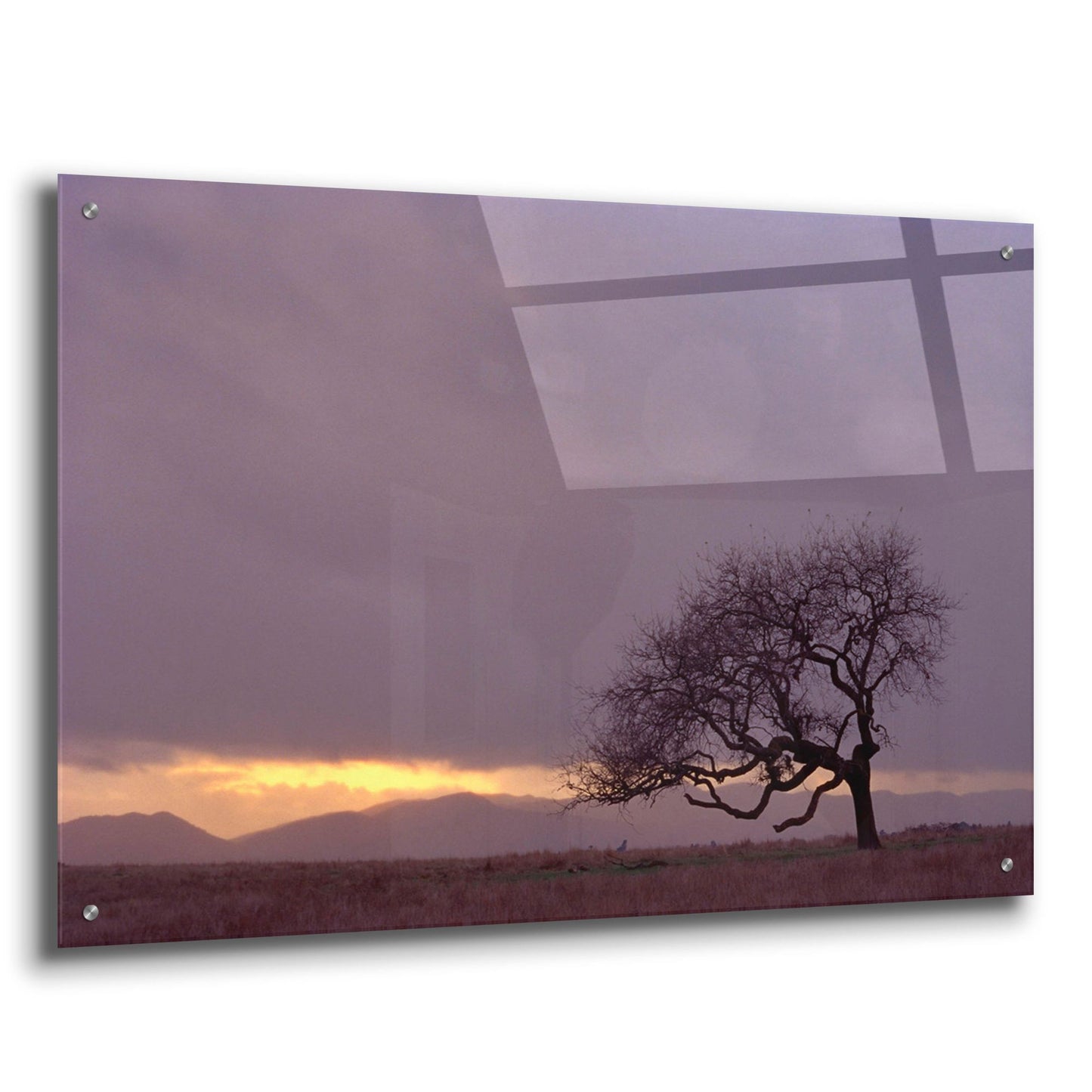 Epic Art 'Field' by Photoinc Studio, Acrylic Glass Wall Art,36x24