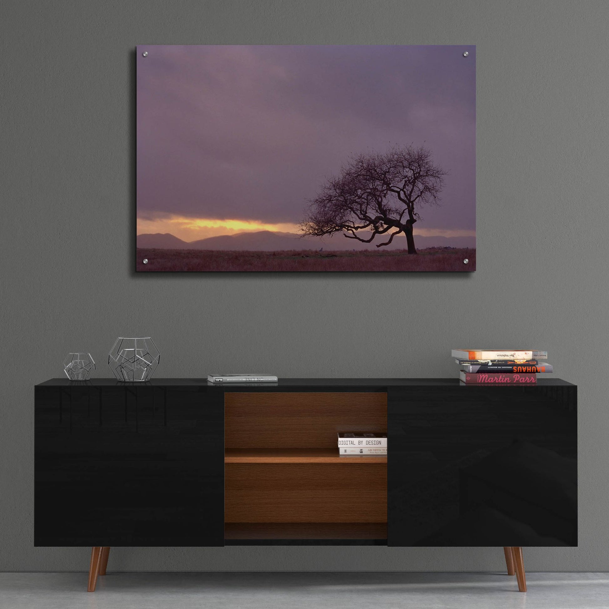 Epic Art 'Field' by Photoinc Studio, Acrylic Glass Wall Art,36x24