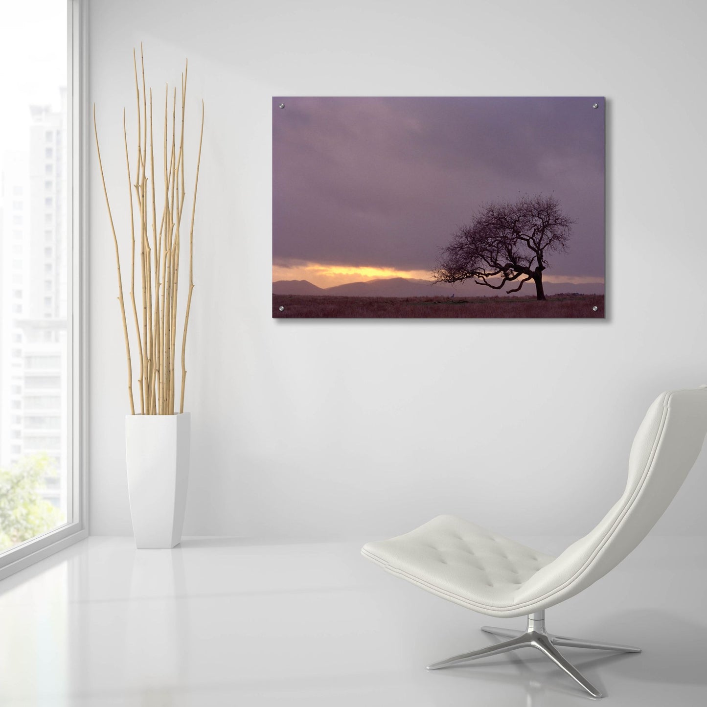 Epic Art 'Field' by Photoinc Studio, Acrylic Glass Wall Art,36x24