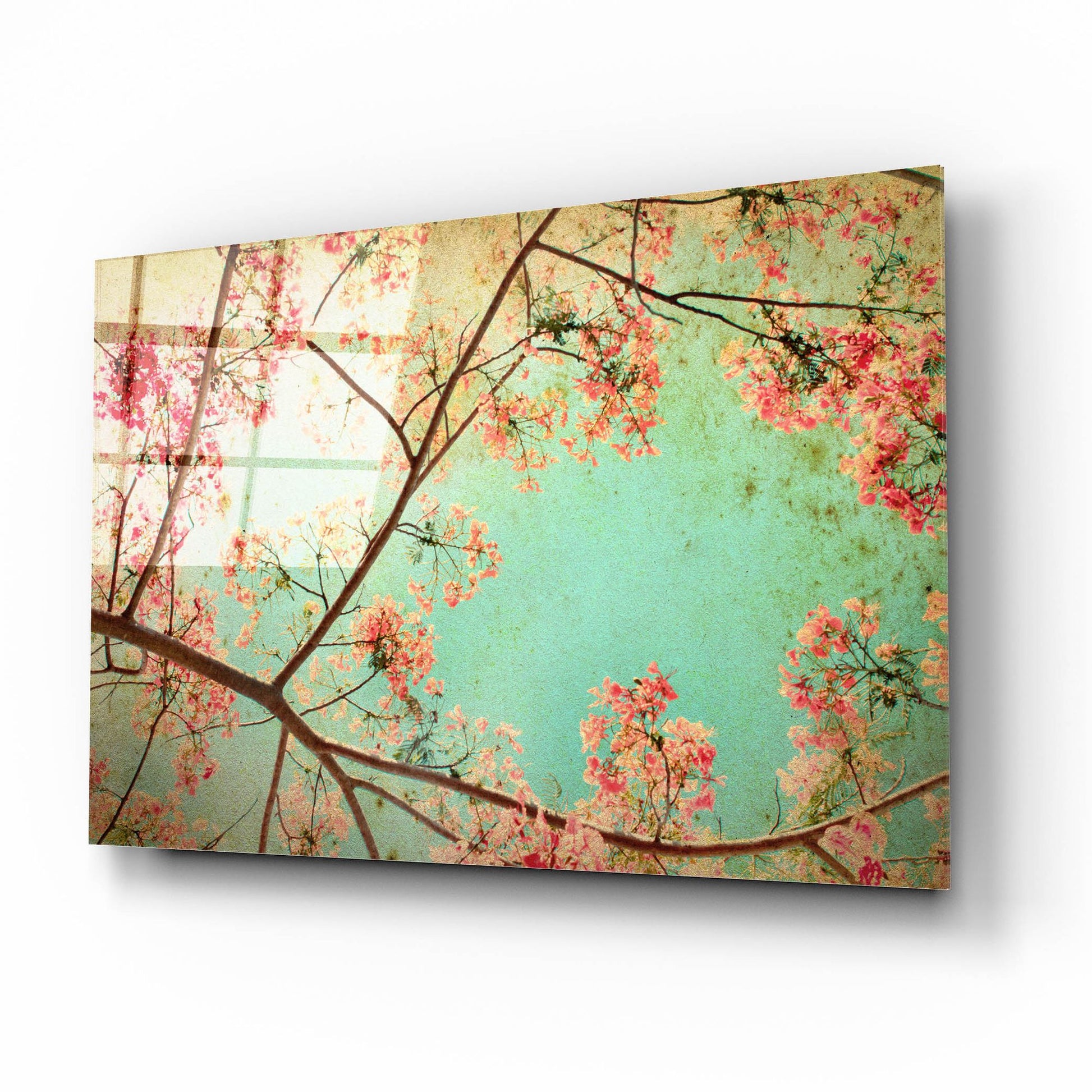 Epic Art 'Flamboyant I' by Photoinc Studio, Acrylic Glass Wall Art,16x12