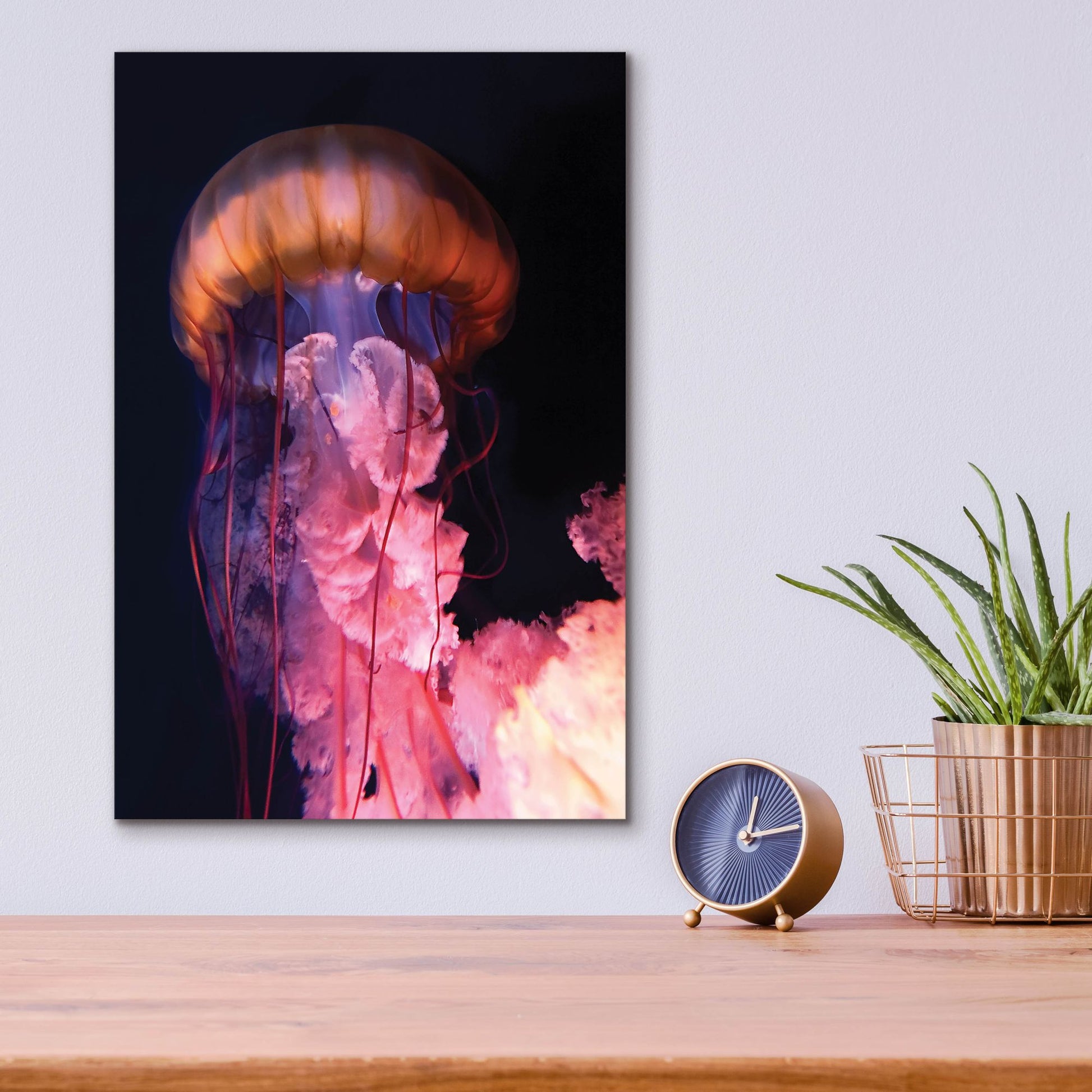 Epic Art 'Gelly' by Photoinc Studio, Acrylic Glass Wall Art,12x16