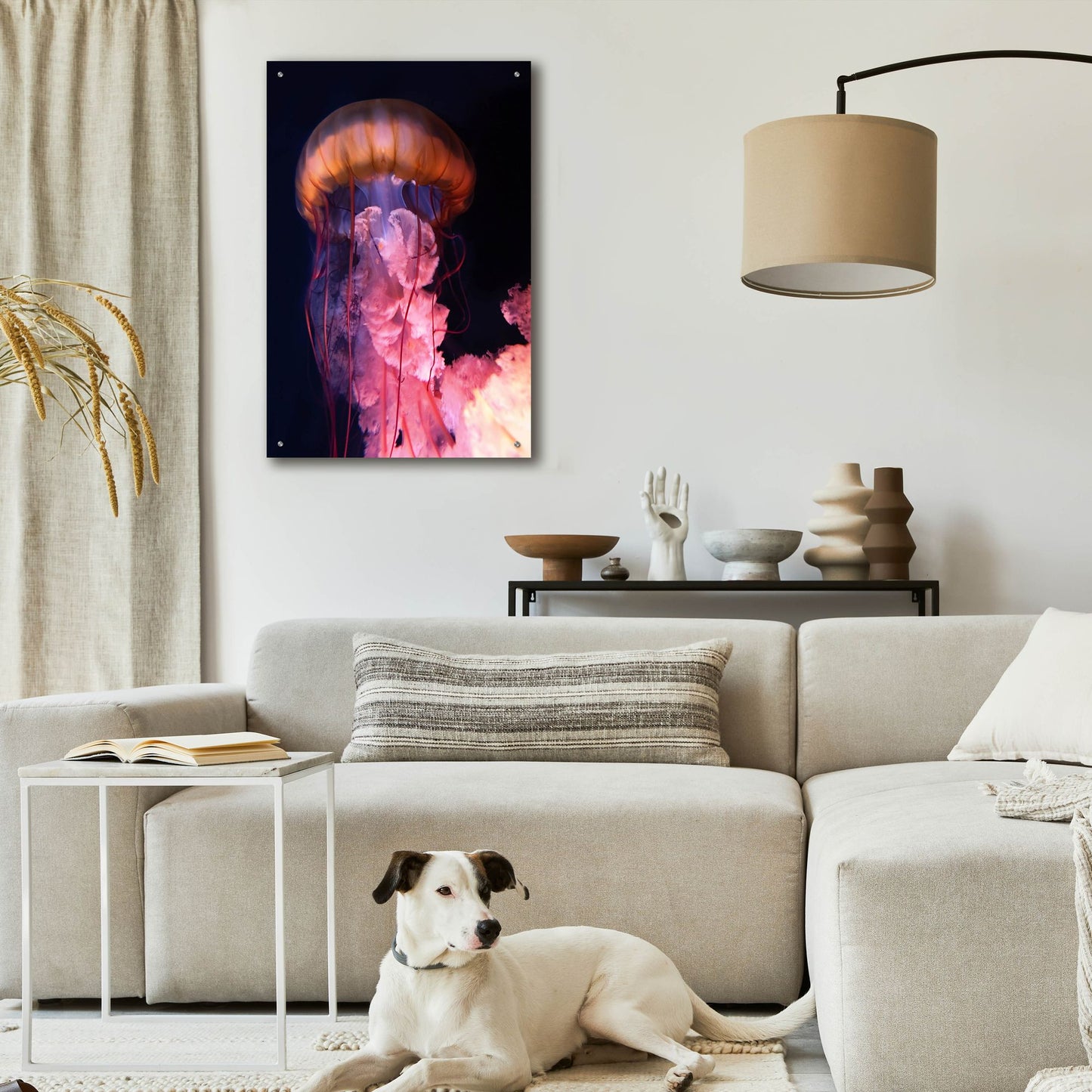 Epic Art 'Gelly' by Photoinc Studio, Acrylic Glass Wall Art,24x36