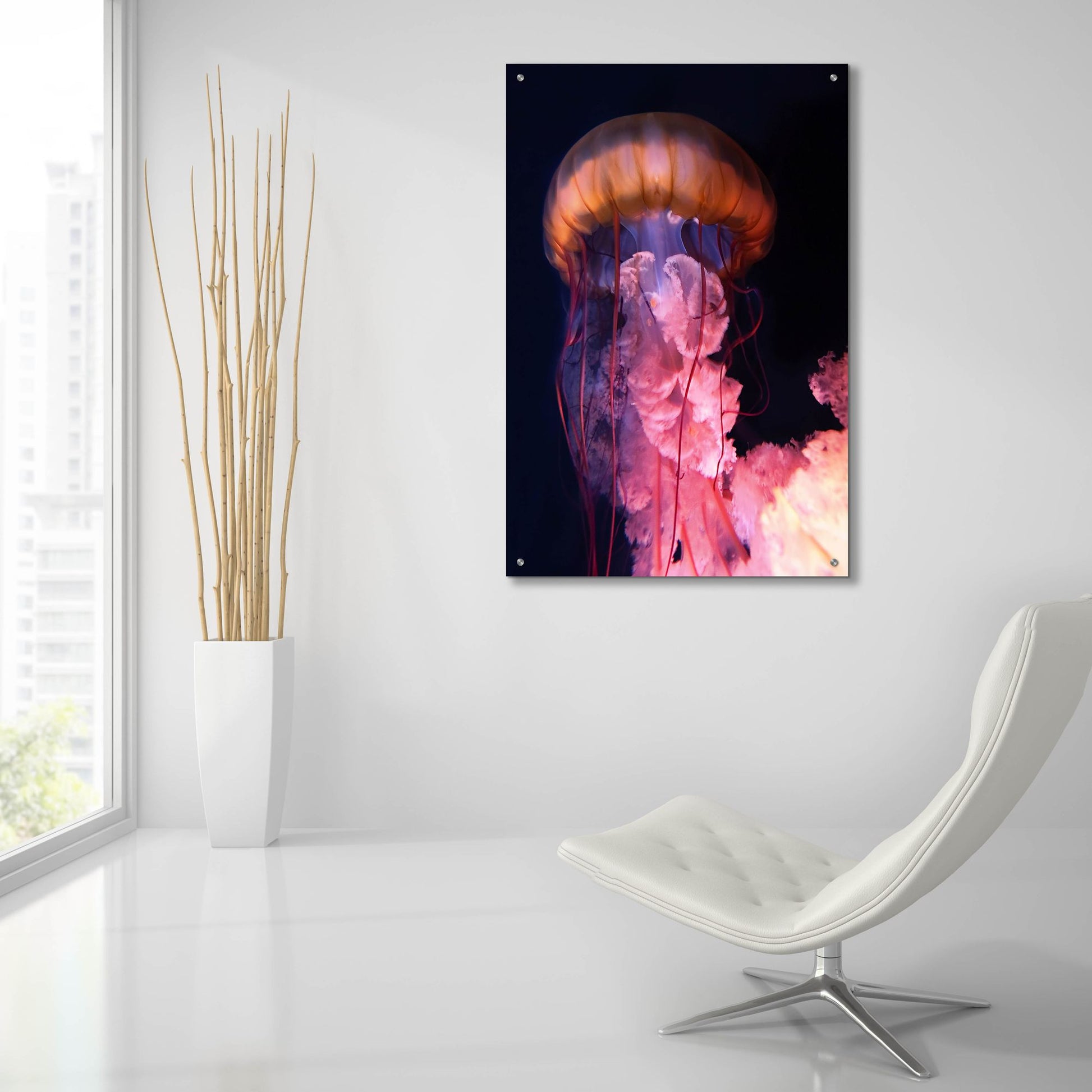 Epic Art 'Gelly' by Photoinc Studio, Acrylic Glass Wall Art,24x36