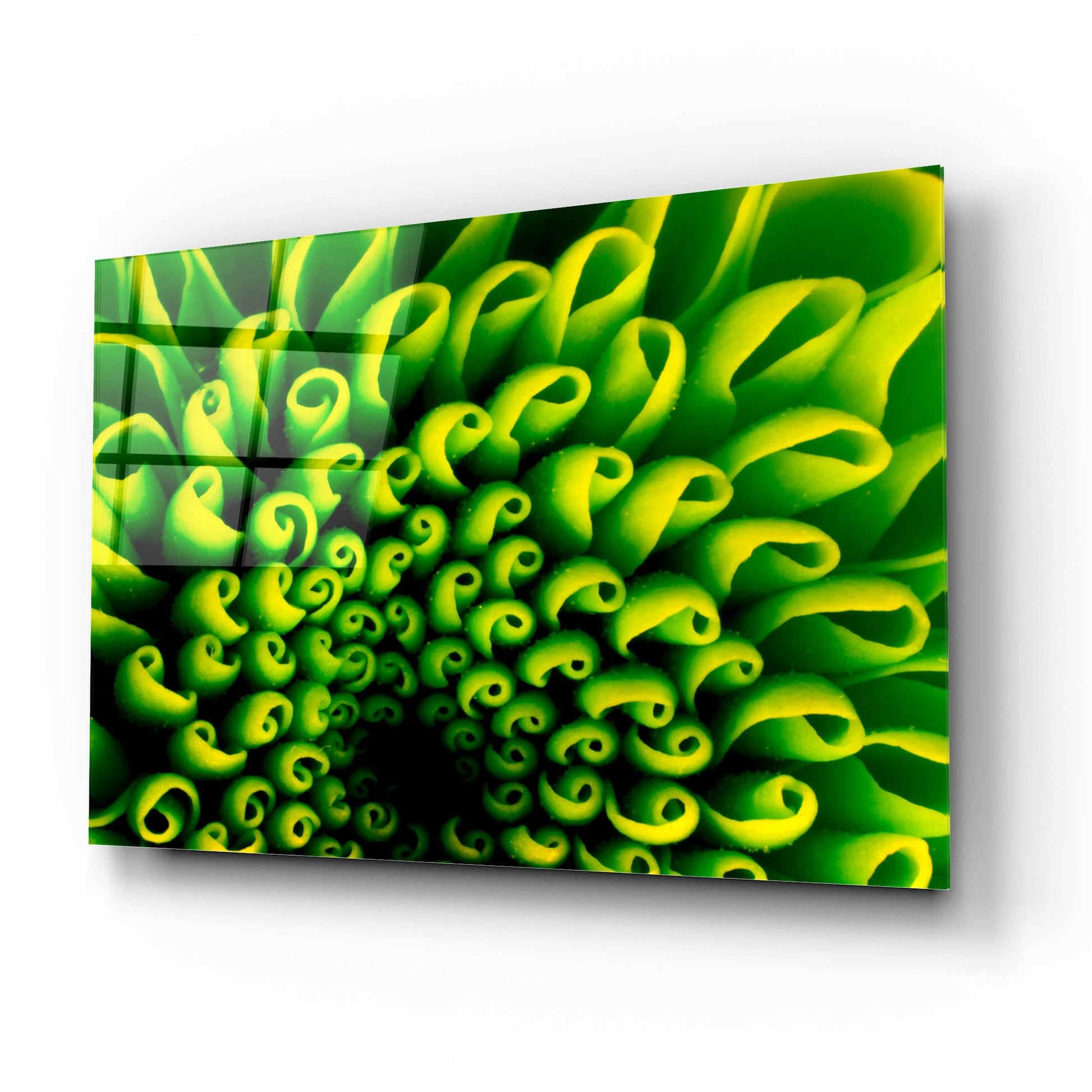 Epic Art 'Green Design 1' by Photoinc Studio, Acrylic Glass Wall Art,16x12