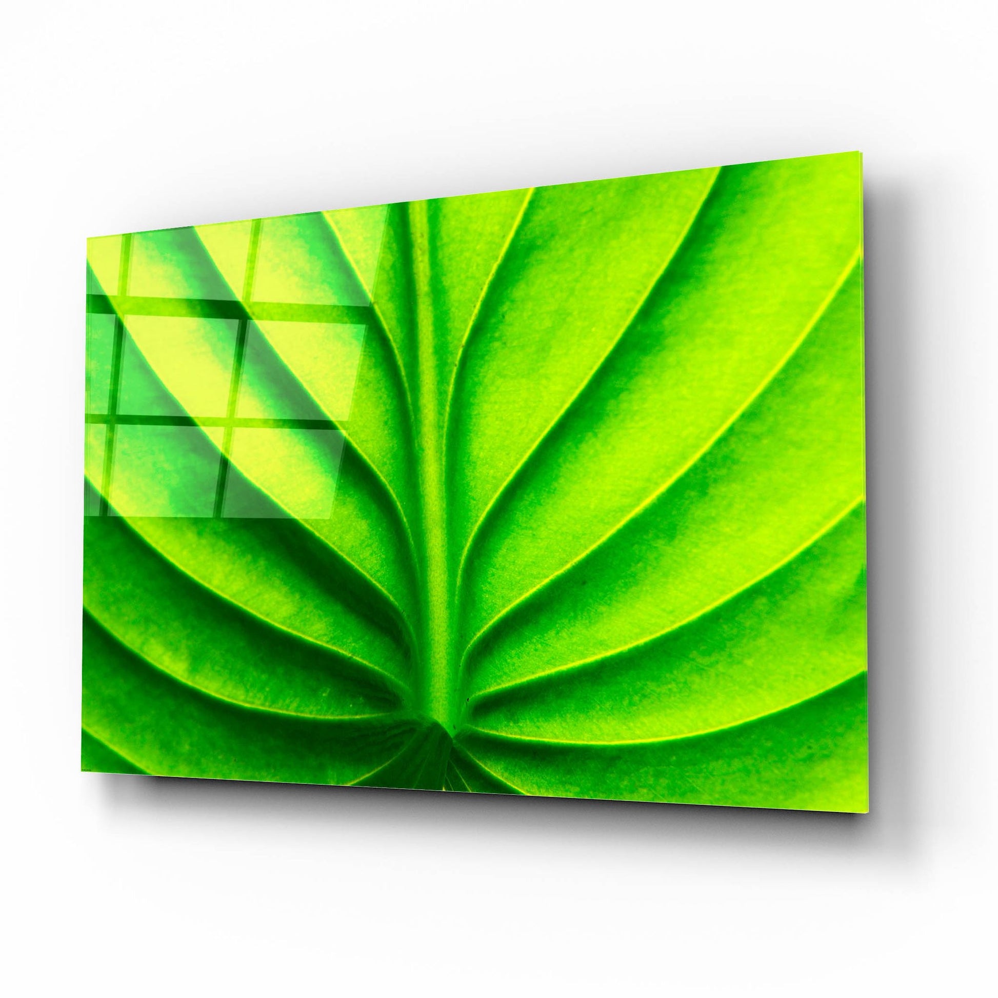 Epic Art 'Green Design 2' by Photoinc Studio, Acrylic Glass Wall Art,16x12