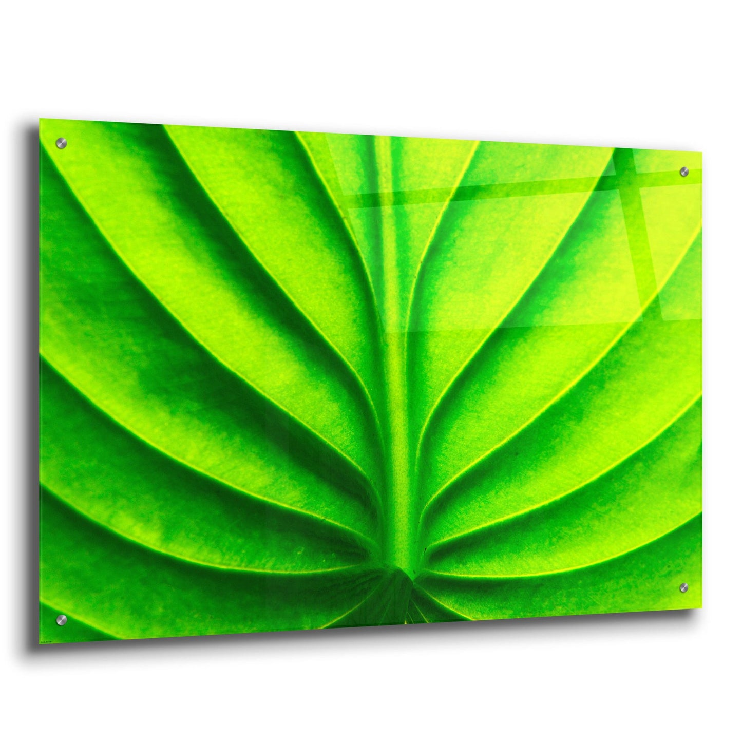 Epic Art 'Green Design 2' by Photoinc Studio, Acrylic Glass Wall Art,36x24