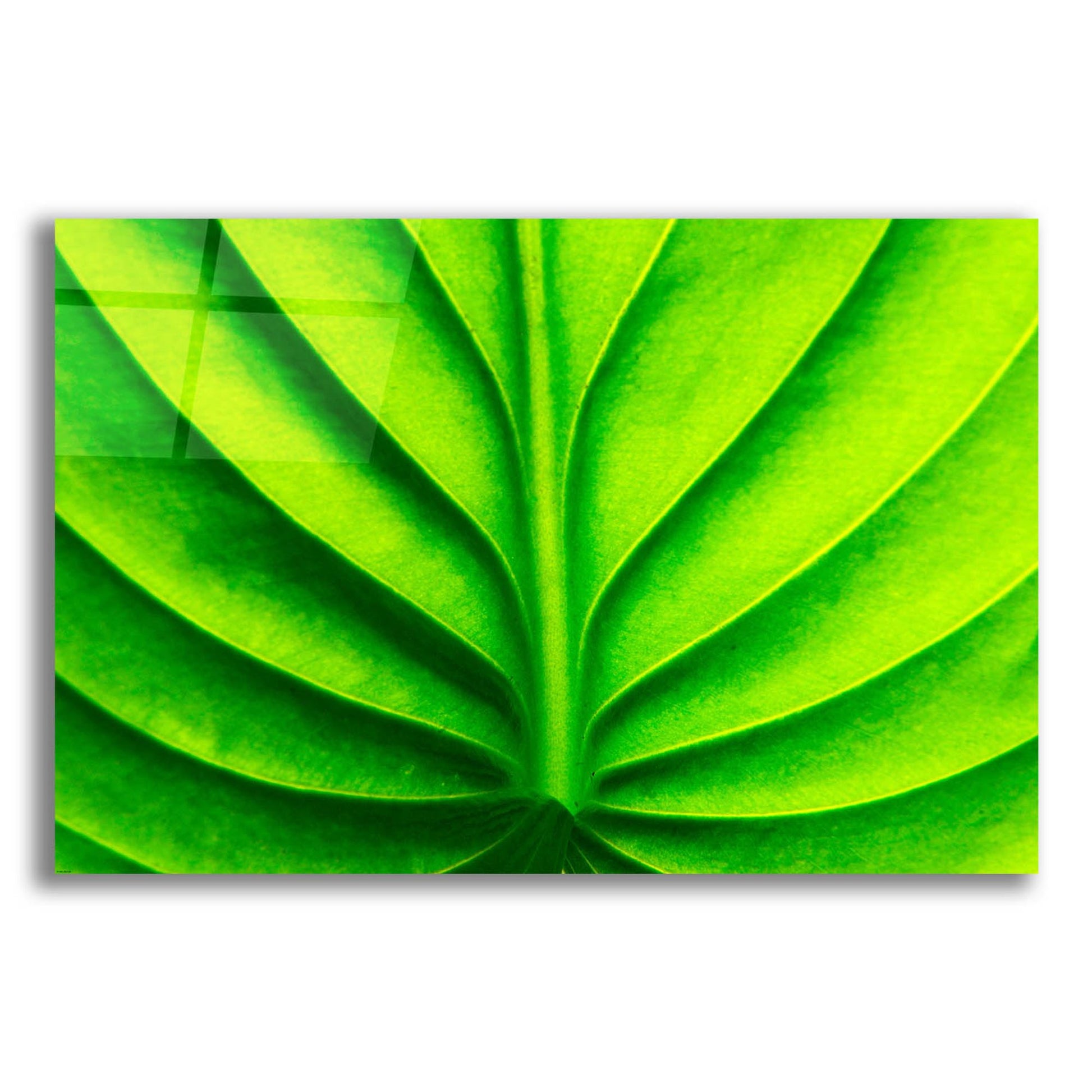 Epic Art 'Green Design 2' by Photoinc Studio, Acrylic Glass Wall Art