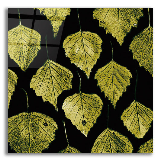 Epic Art 'Green Leaves' by Photoinc Studio, Acrylic Glass Wall Art