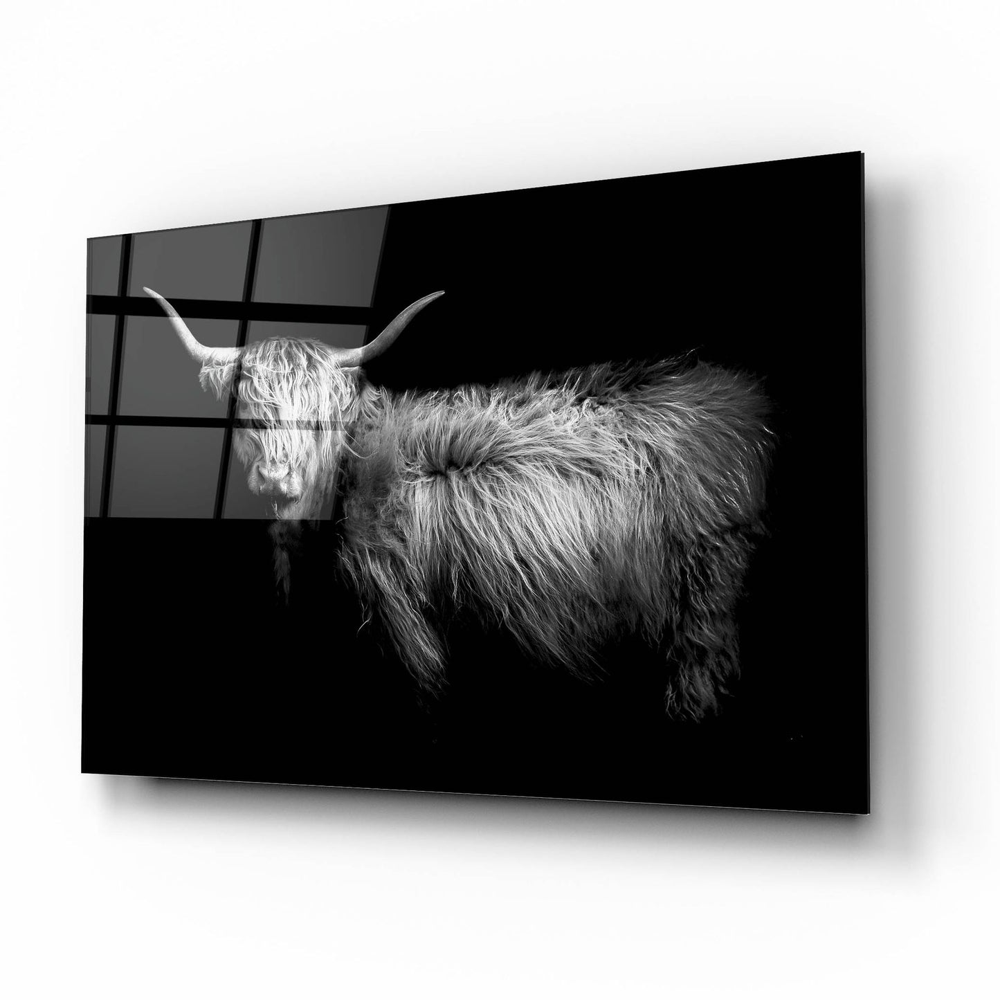 Epic Art 'Hello' by Photoinc Studio, Acrylic Glass Wall Art,16x12