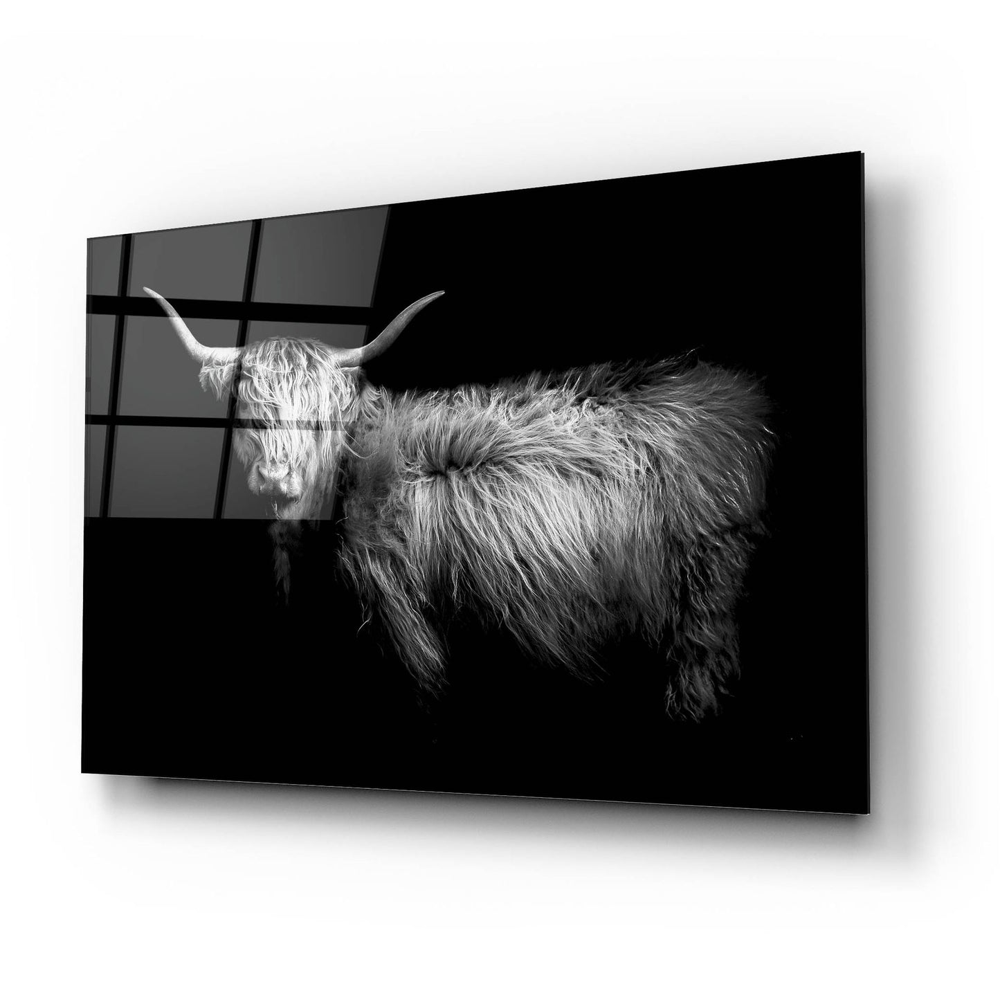 Epic Art 'Hello' by Photoinc Studio, Acrylic Glass Wall Art,24x16