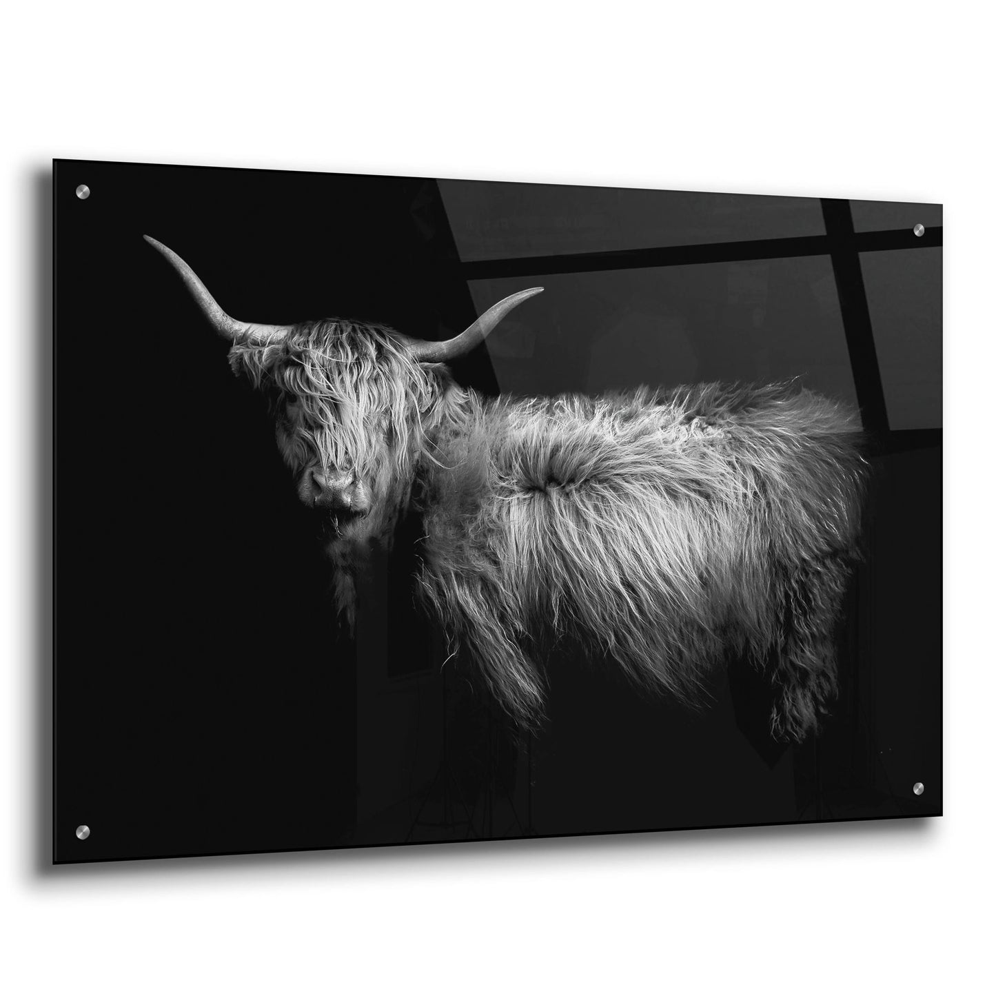 Epic Art 'Hello' by Photoinc Studio, Acrylic Glass Wall Art,36x24