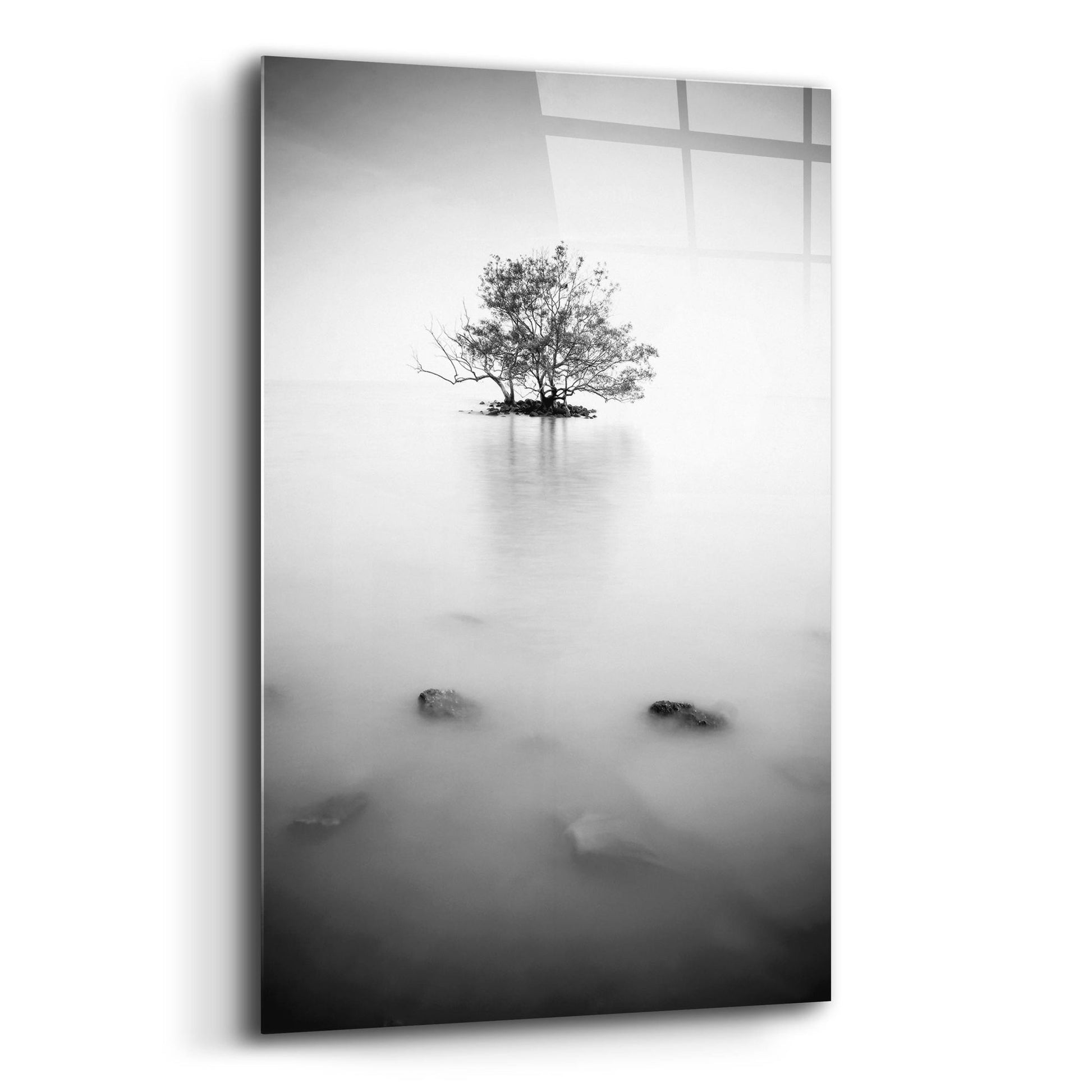 Epic Art 'In The Mist 2' by Photoinc Studio, Acrylic Glass Wall Art,12x16
