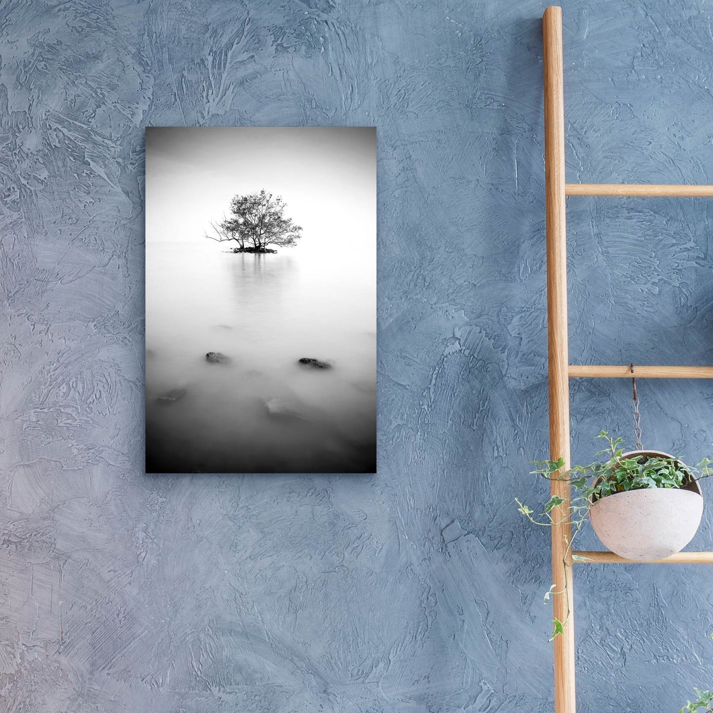 Epic Art 'In The Mist 2' by Photoinc Studio, Acrylic Glass Wall Art,16x24