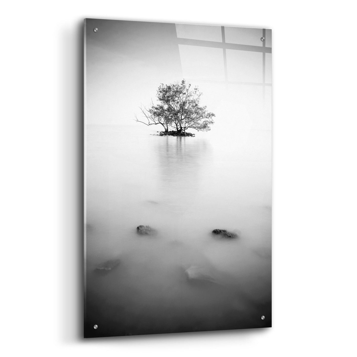 Epic Art 'In The Mist 2' by Photoinc Studio, Acrylic Glass Wall Art,24x36