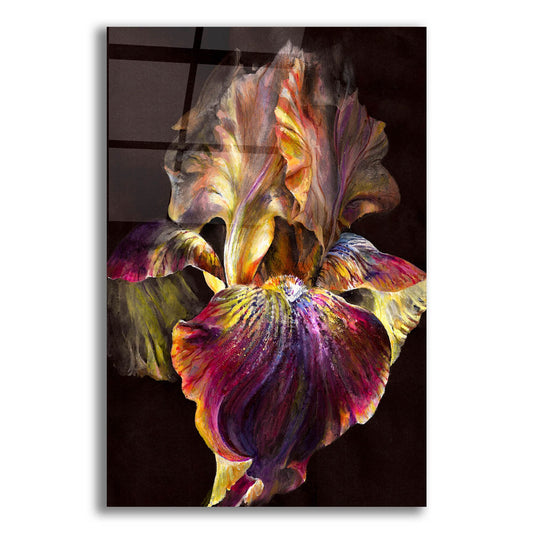 Epic Art 'Iris' by Photoinc Studio, Acrylic Glass Wall Art