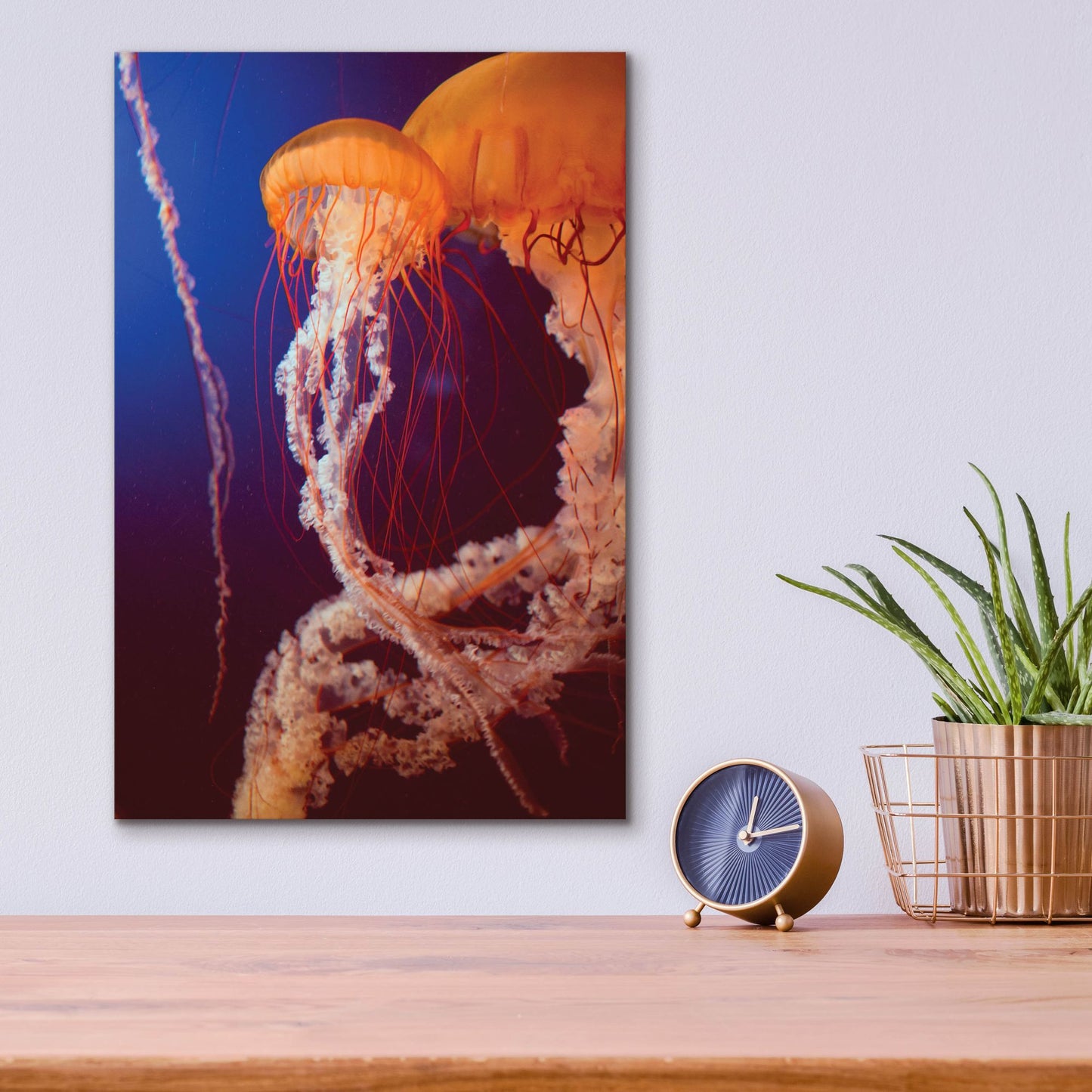 Epic Art 'Jelly 3' by Photoinc Studio, Acrylic Glass Wall Art,12x16