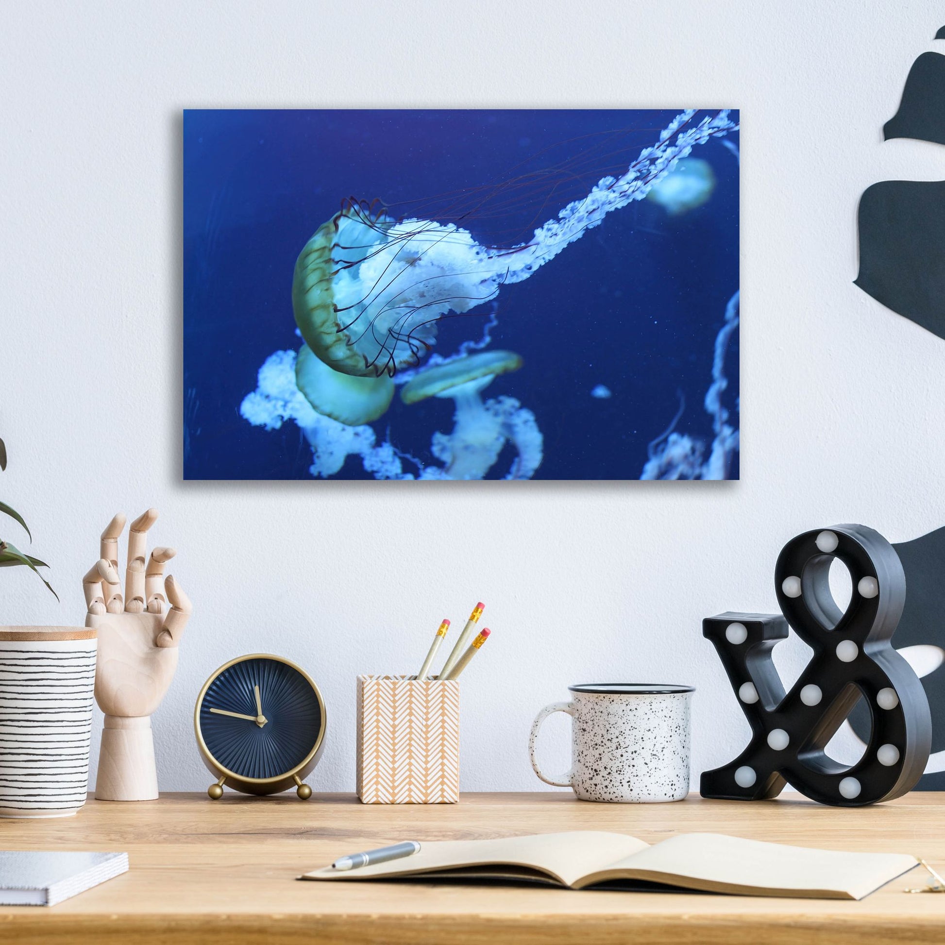 Epic Art 'Jelly' by Photoinc Studio, Acrylic Glass Wall Art,16x12